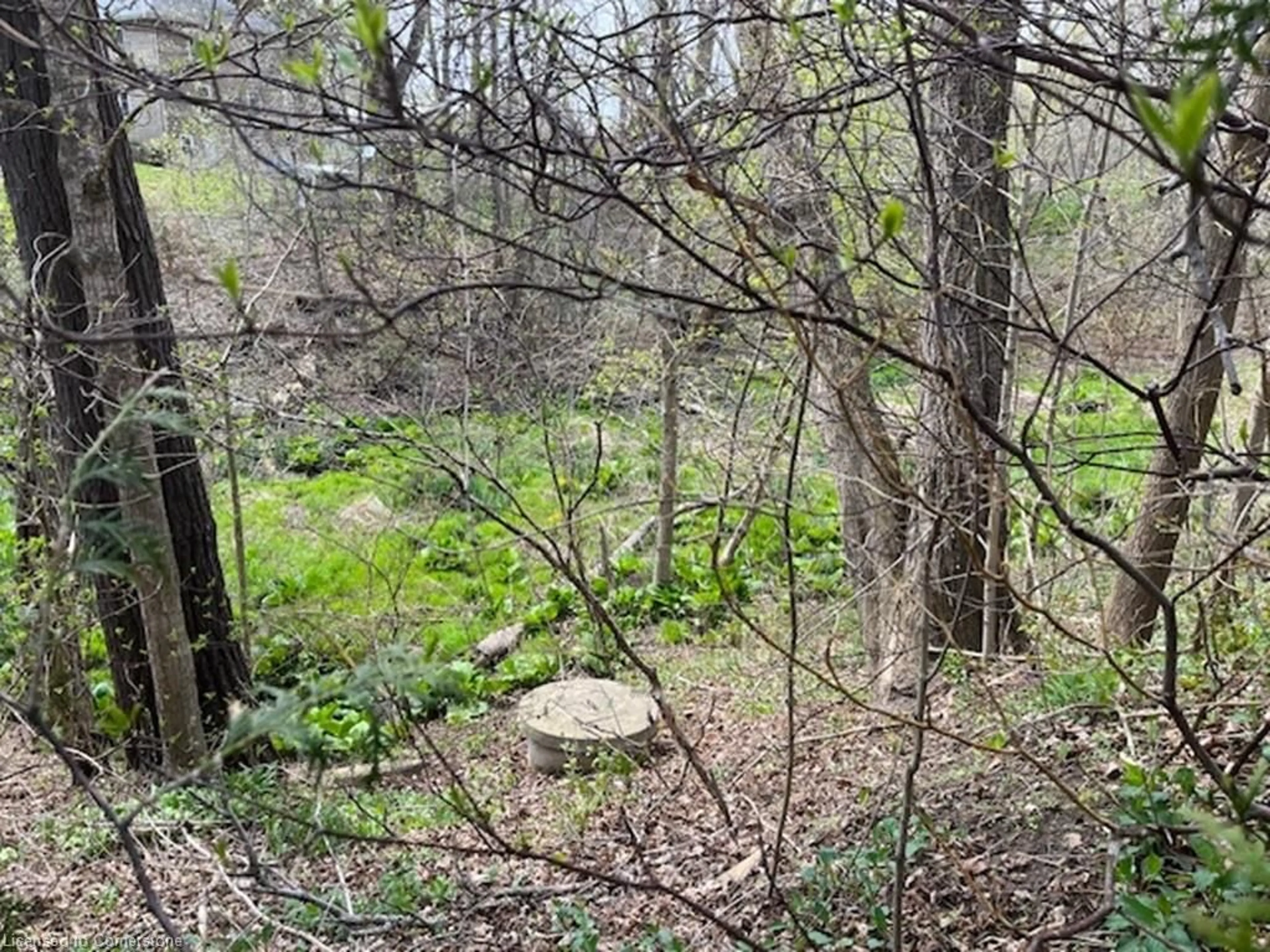 A pic from outside/outdoor area/front of a property/back of a property/a pic from drone, forest/trees view for 2056 Main St, Walsingham Ontario N0E 1X0