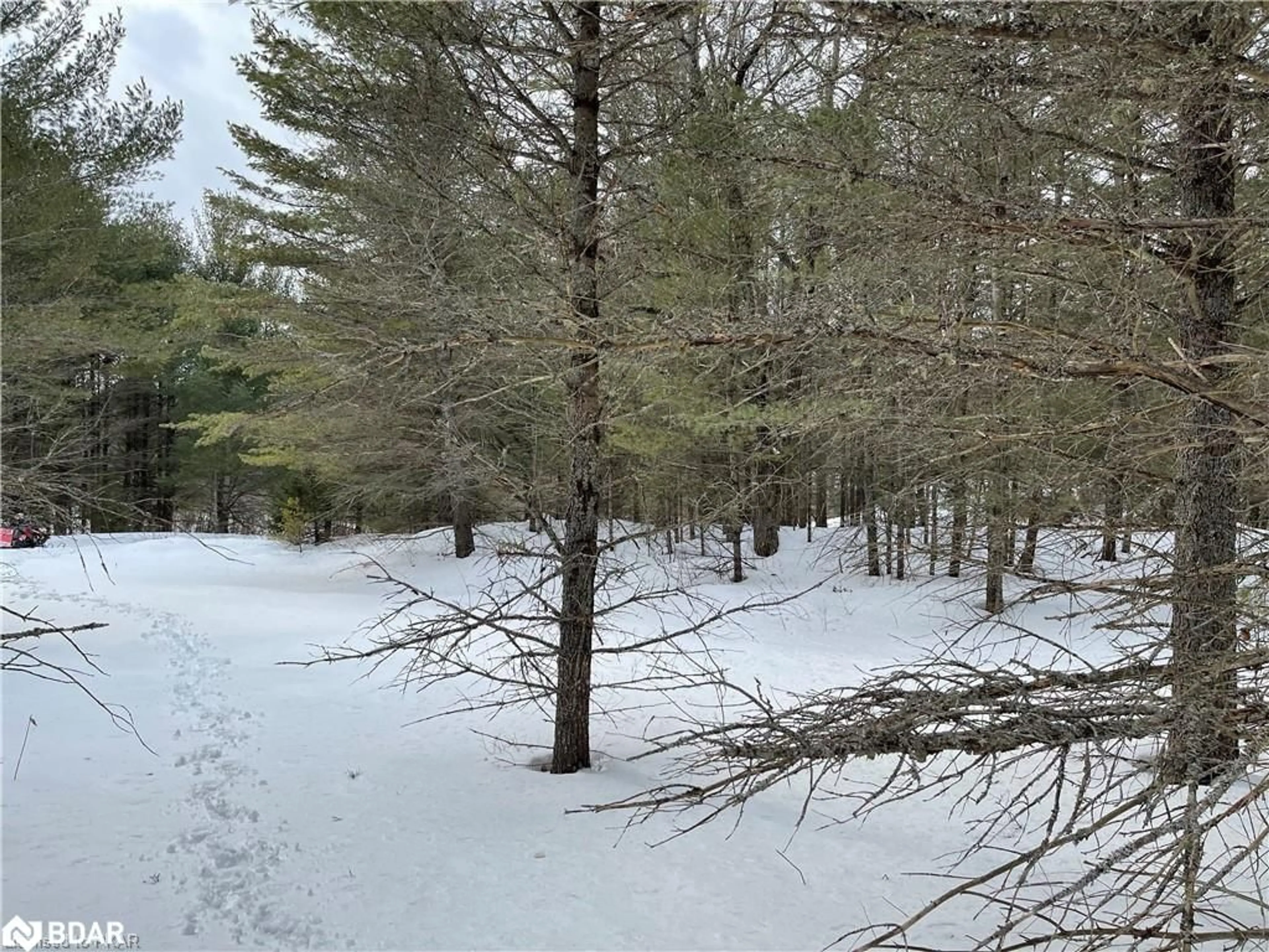 Blurry image for N/A Hadlington Rd #Lot 3, Highlands East Ontario K0L 2Y0