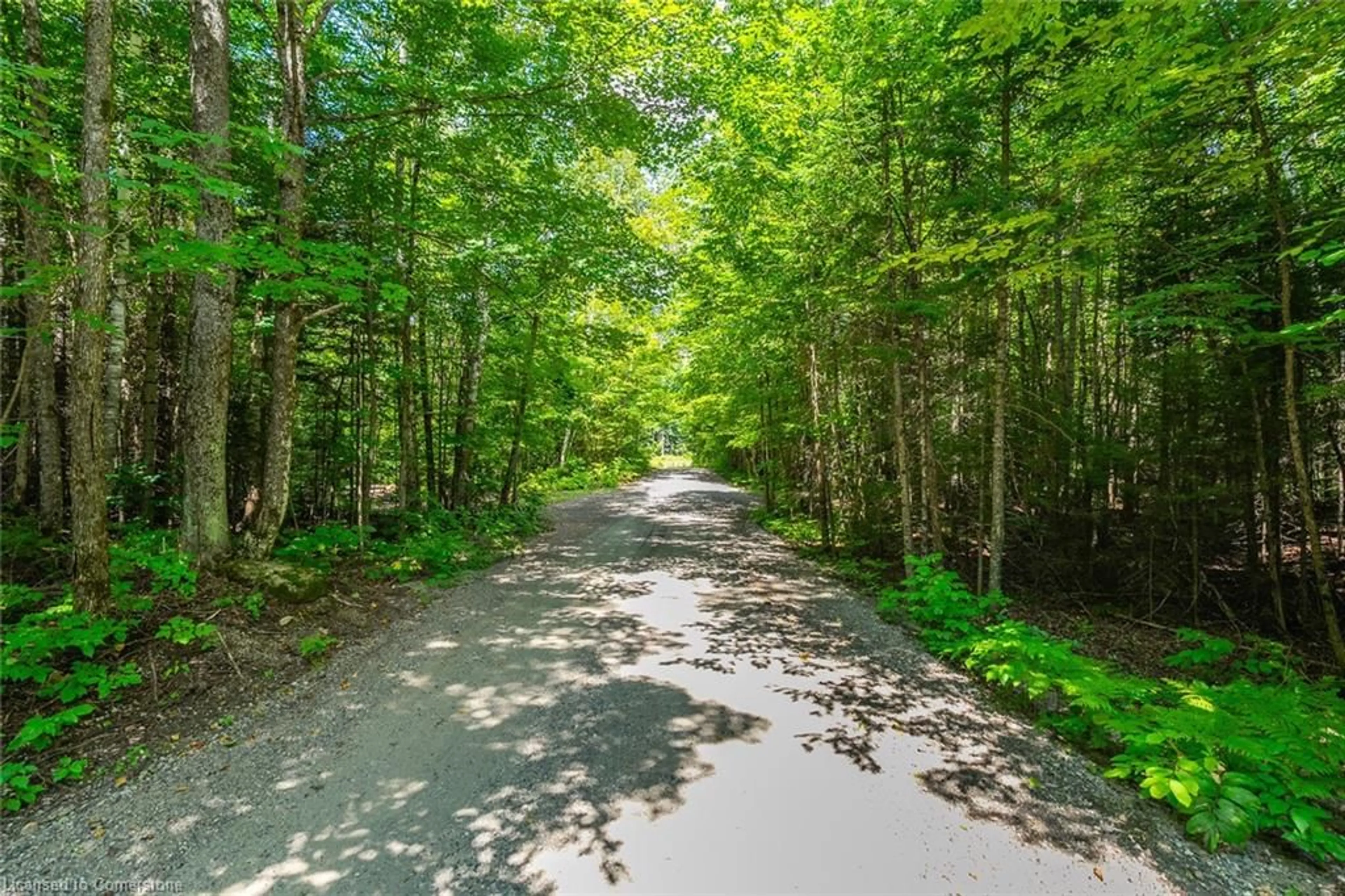 Patio, forest/trees view for 17182 Hwy 118, Haliburton Ontario K0S 1S0