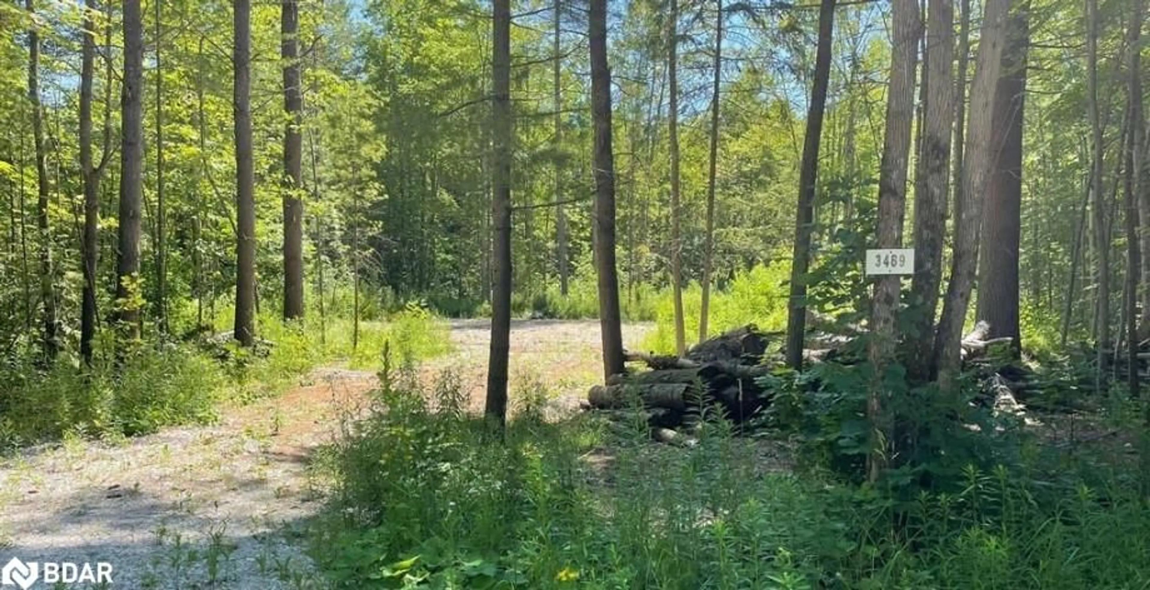 A pic from outside/outdoor area/front of a property/back of a property/a pic from drone, forest/trees view for 3469 Riverdale Dr, Washago Ontario L0K 2B0