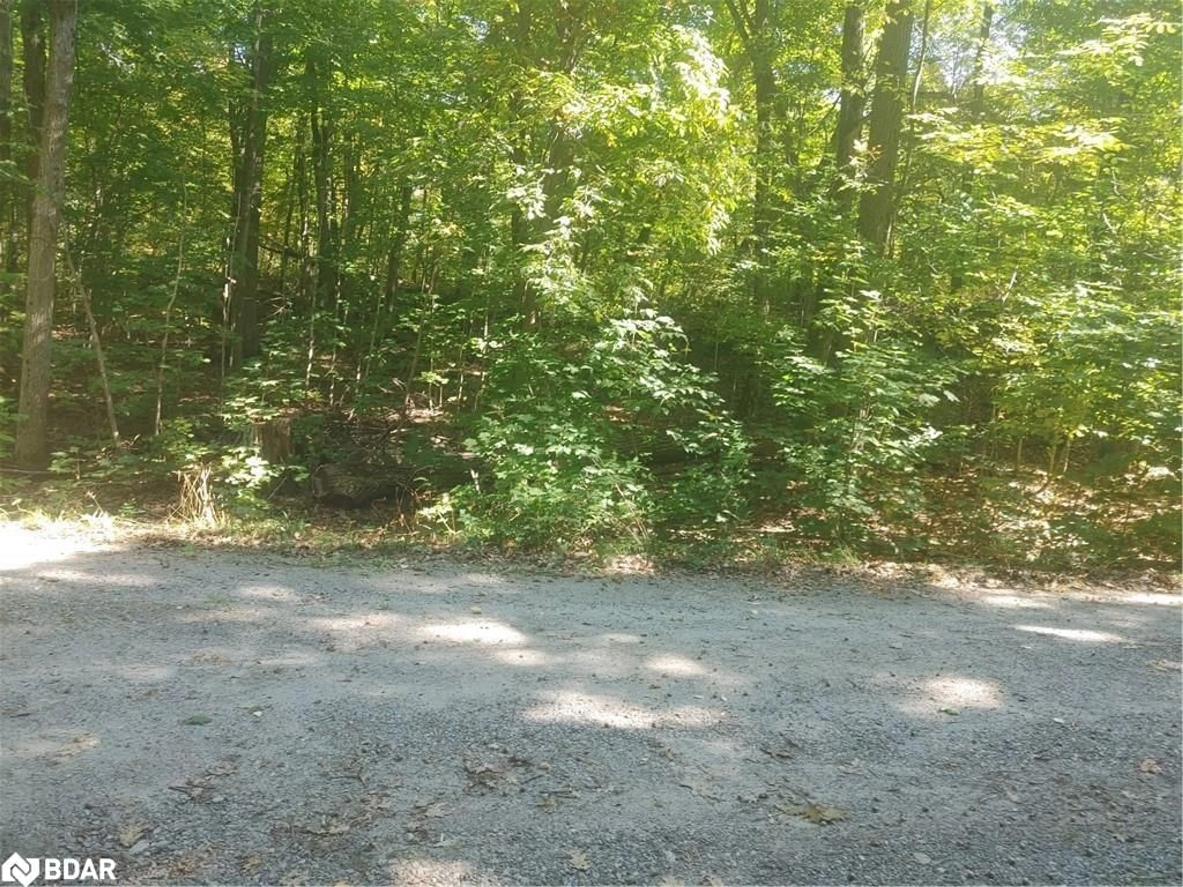 Unknown for N/A Johnston Rd, Seguin Ontario P2A 2W8