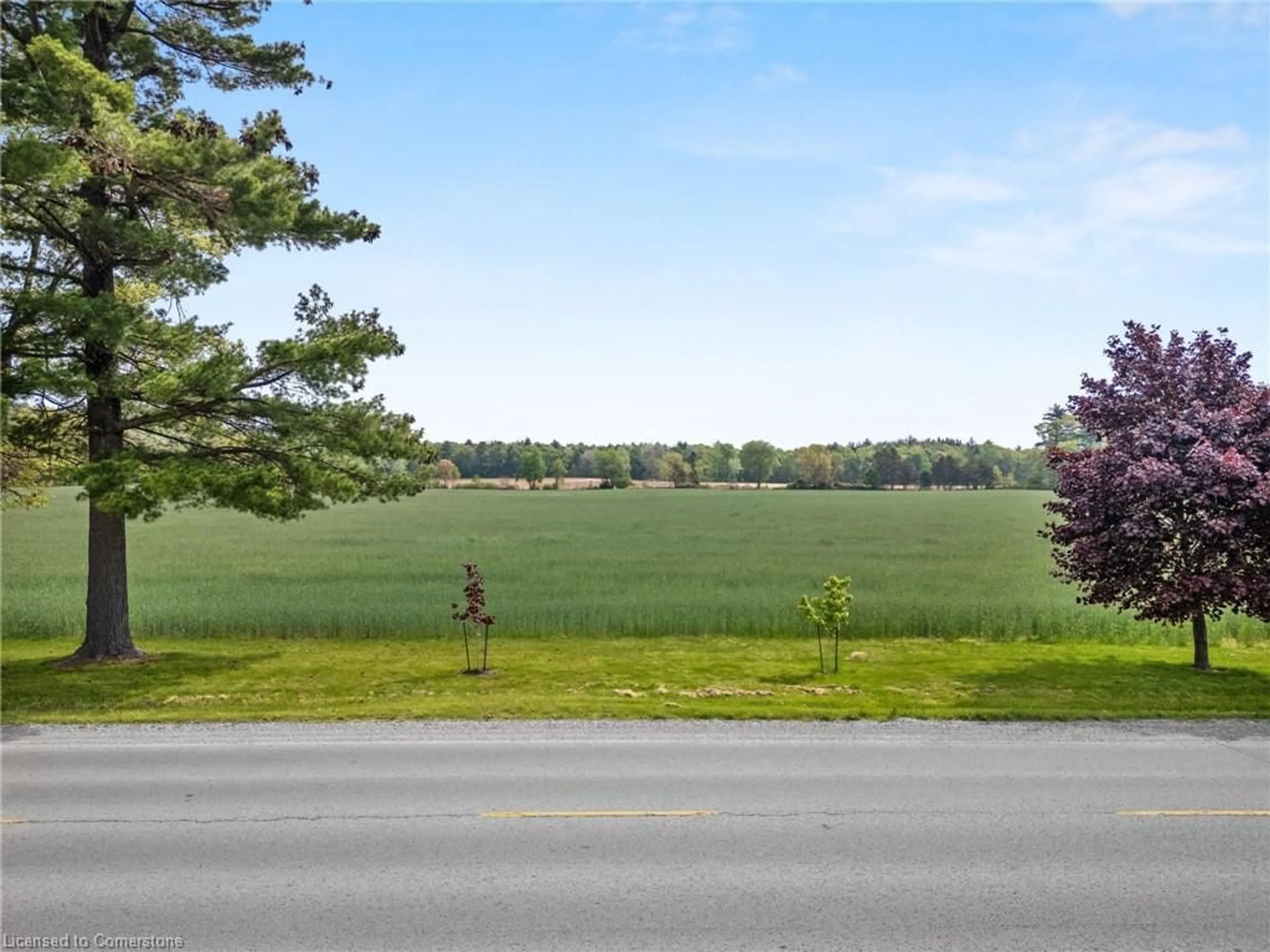 A pic from outside/outdoor area/front of a property/back of a property/a pic from drone, forest/trees view for N/A Turkey Point Rd, Walsh Ontario N3Y 4K1