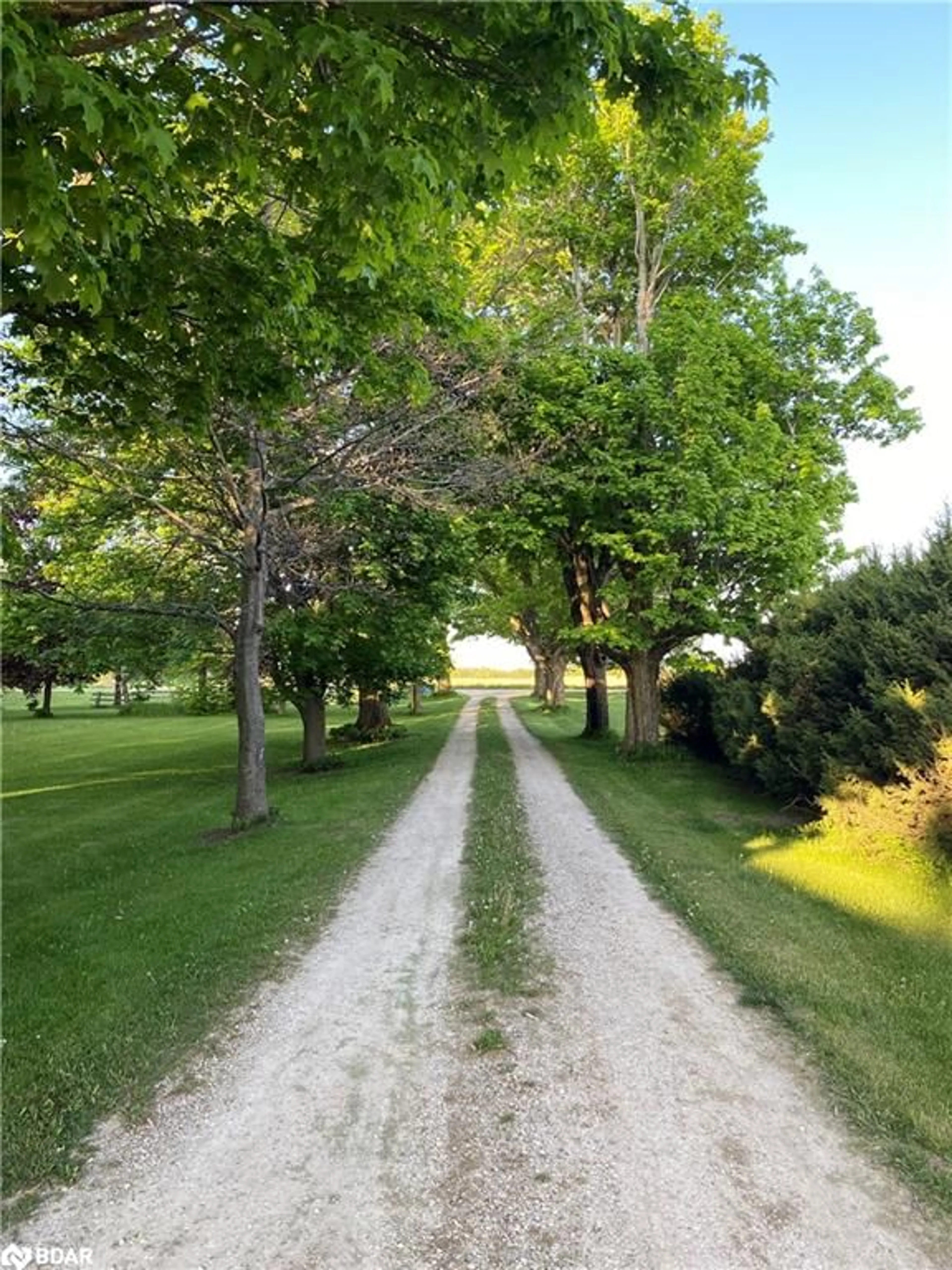 A pic from outside/outdoor area/front of a property/back of a property/a pic from drone, forest/trees view for 557472 Mulmur Melancthon Townline Tline, Dufferin Ontario L9V 1W8