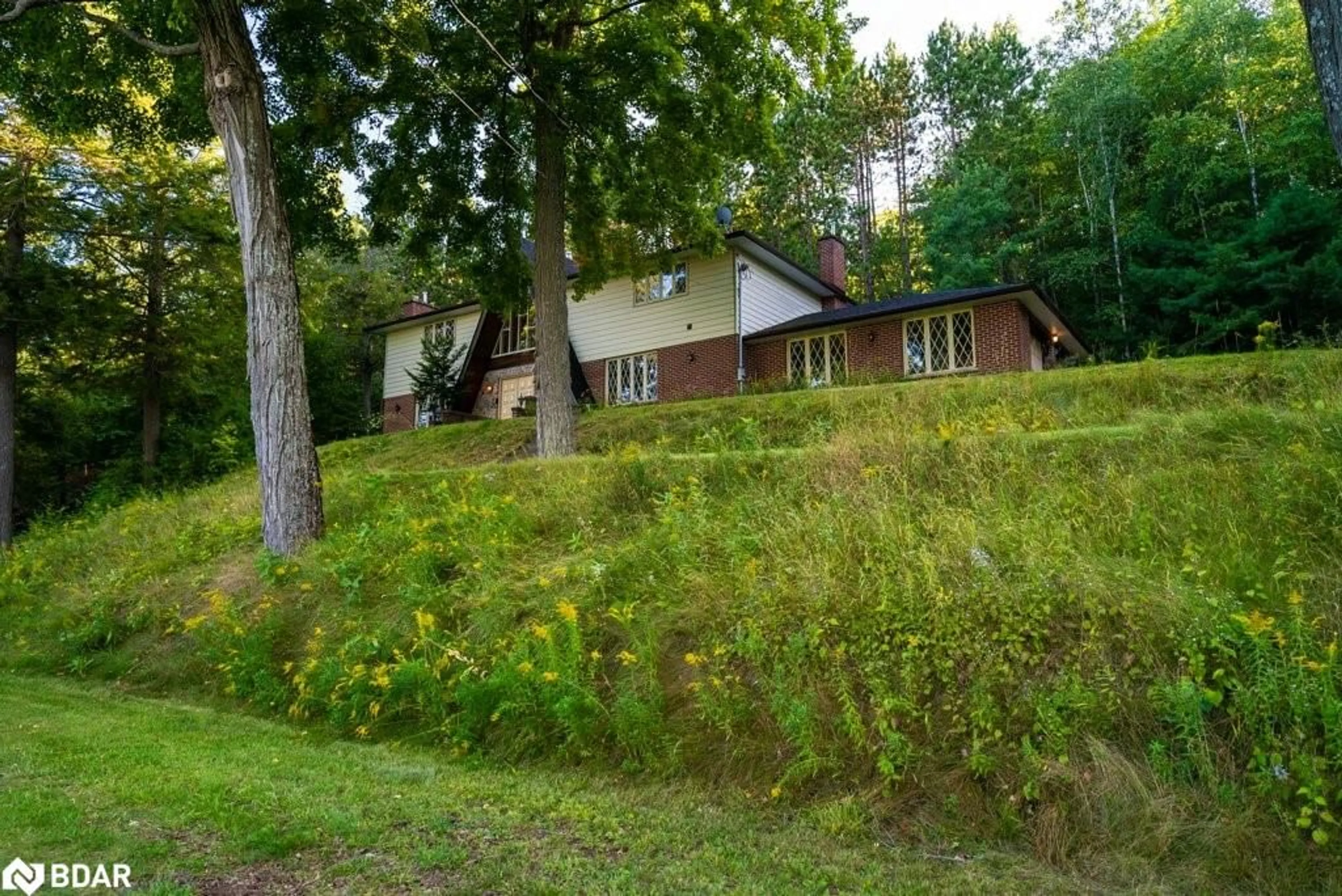 A pic from outside/outdoor area/front of a property/back of a property/a pic from drone, forest/trees view for 17100 Highway 41, Cloyne Ontario K0H 1K0