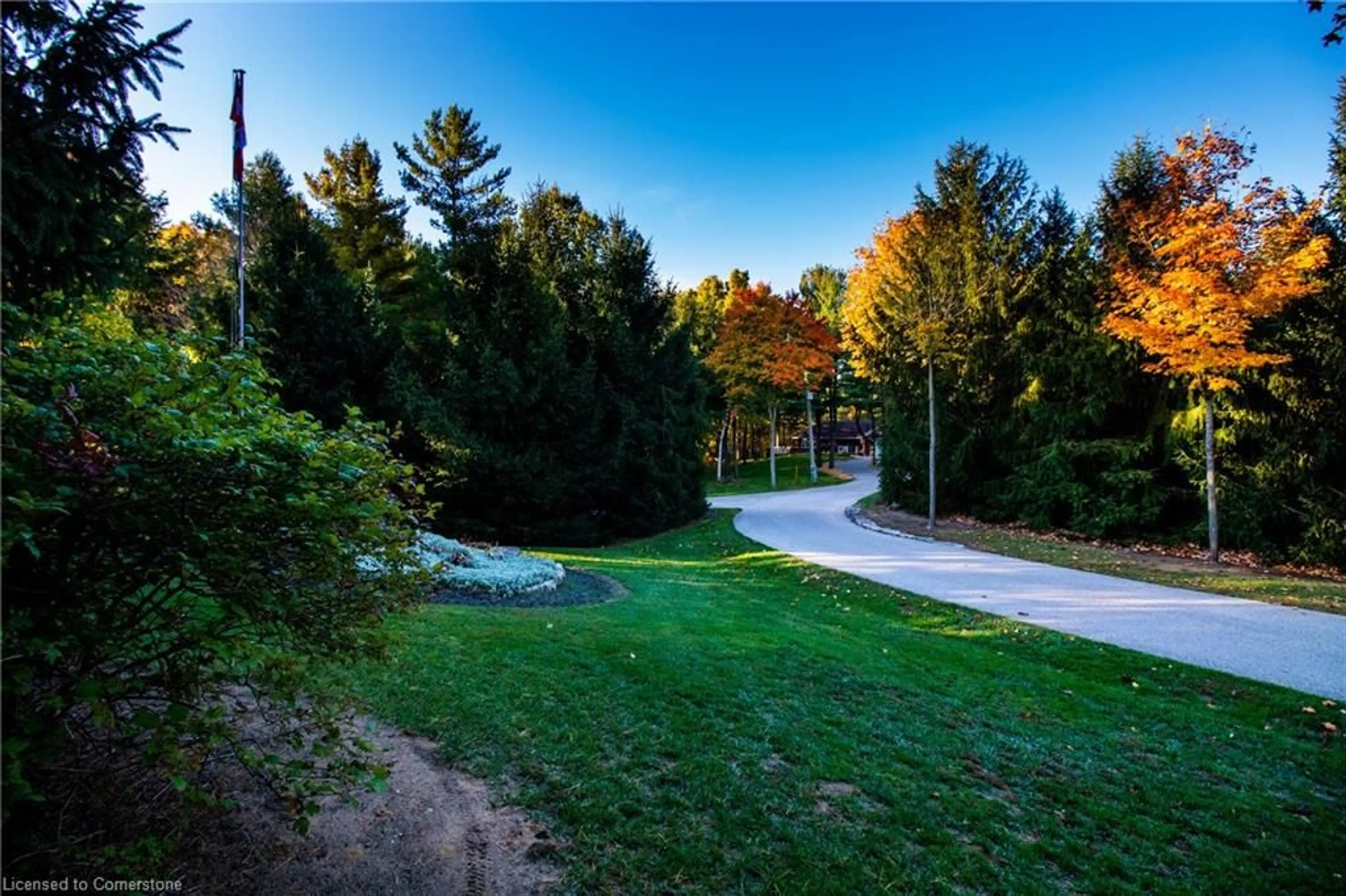 Patio, forest/trees view for 1902 Highway 3, Delhi Ontario N4B 2W6