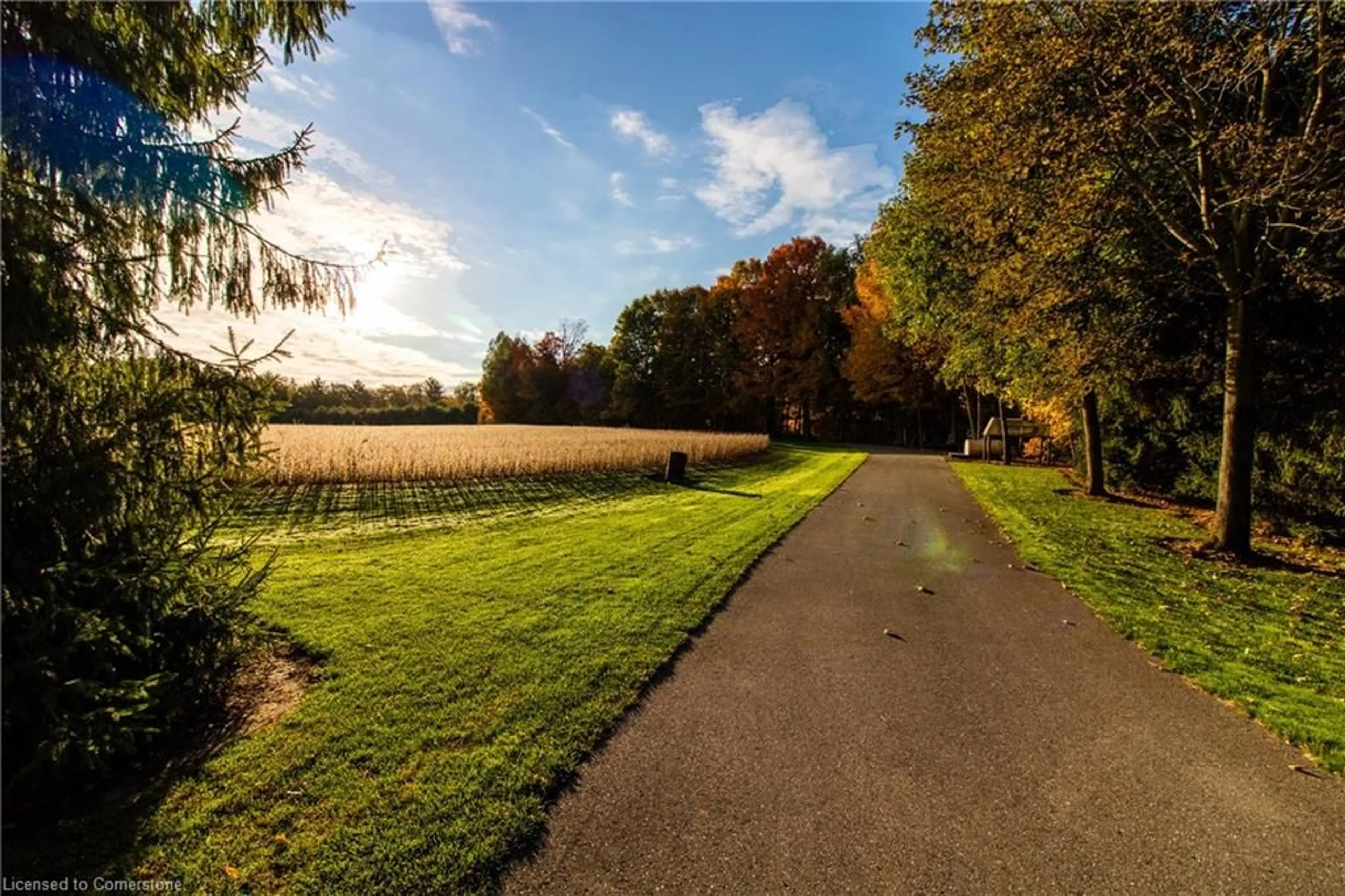 A pic from outside/outdoor area/front of a property/back of a property/a pic from drone, forest/trees view for 1902 Highway 3, Delhi Ontario N4B 2W6
