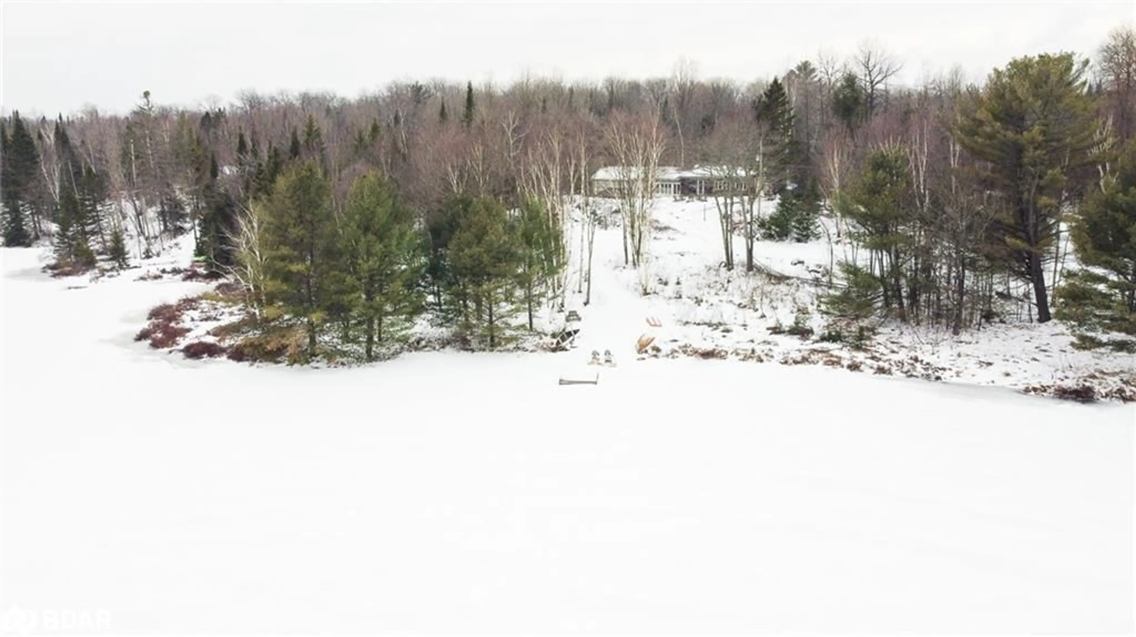 A pic from outside/outdoor area/front of a property/back of a property/a pic from drone, forest/trees view for 1170 English Circle Cir, Haliburton Ontario K0M 1R0