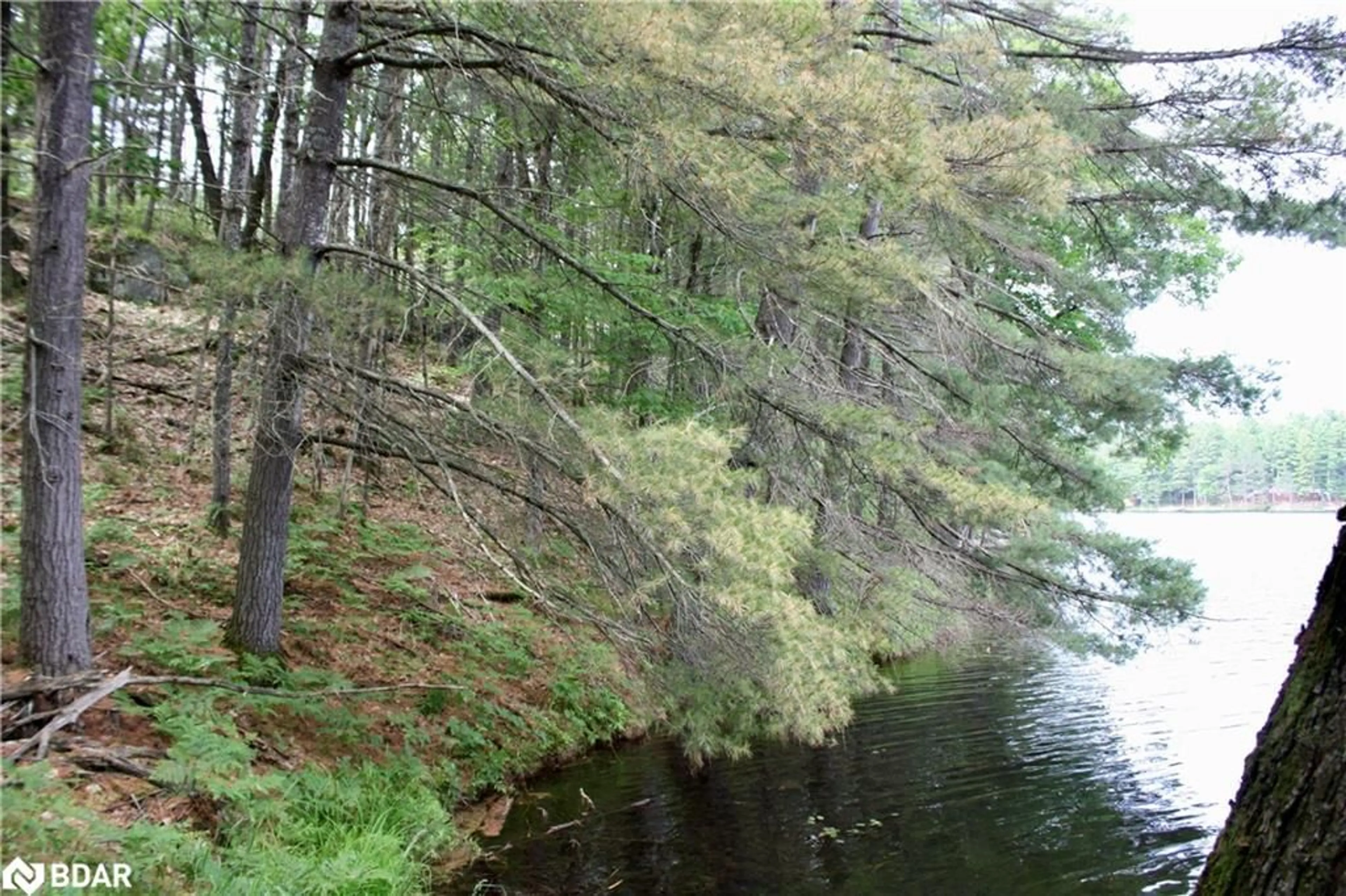 Blurry image for 0-WAO Kasshabog Lake #Lot 1, Havelock Ontario K0L 2H0