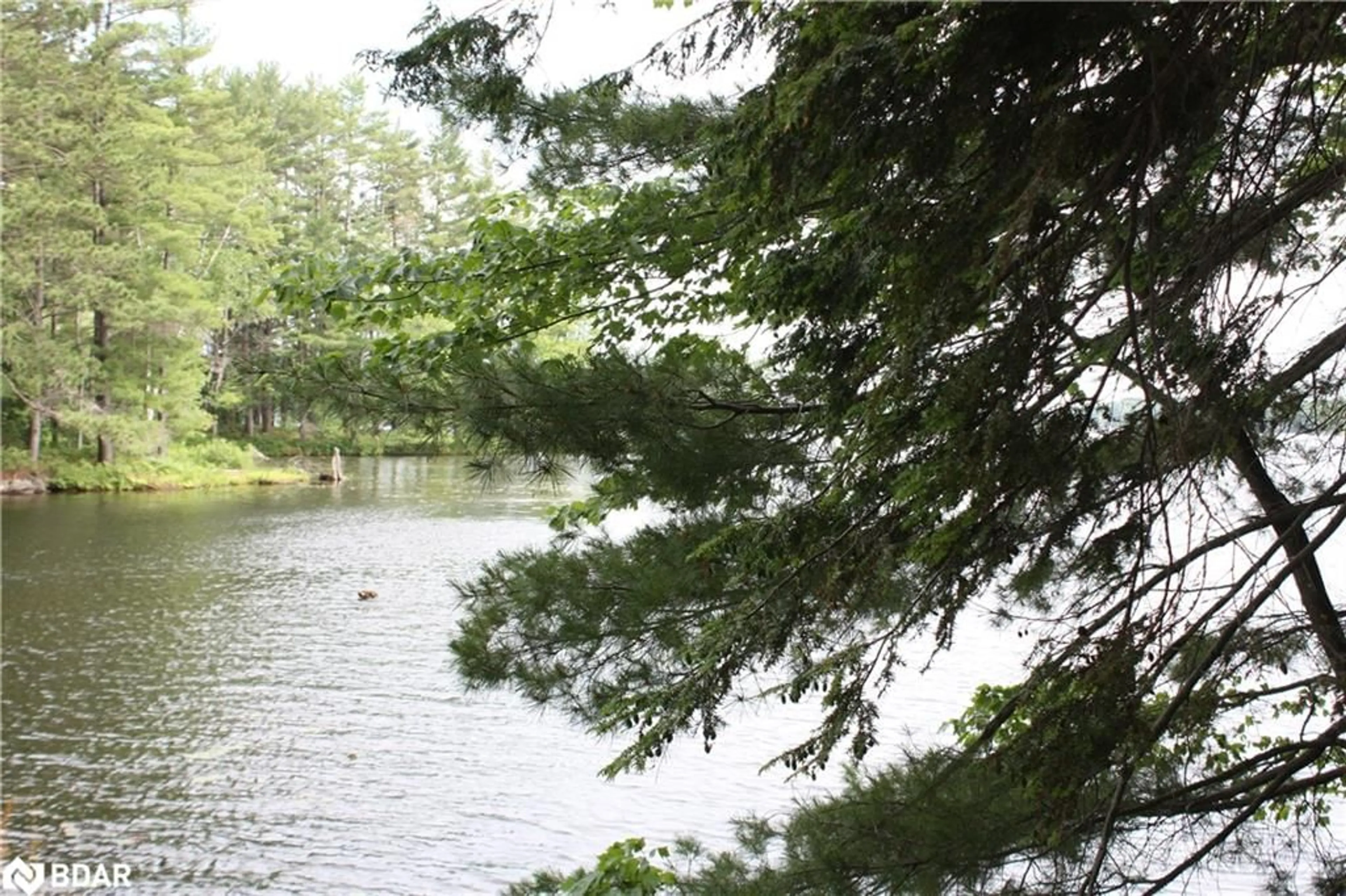 Blurry image for 0-WAO Kasshabog Lake #Lot 2, Havelock Ontario K0L 2H0