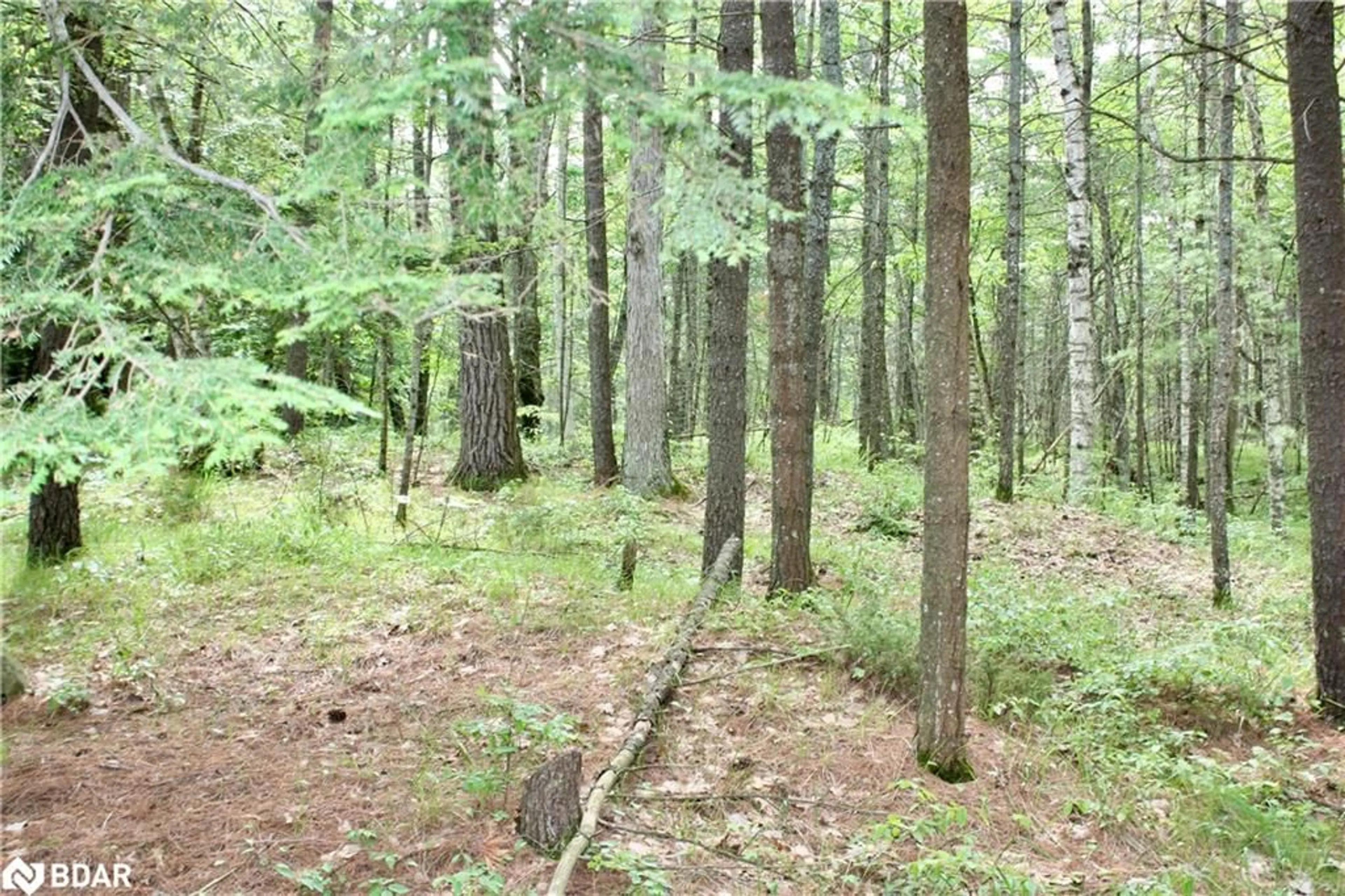 Blurry image for 0-WAO Kasshabog Lake #Lot 2, Havelock Ontario K0L 2H0