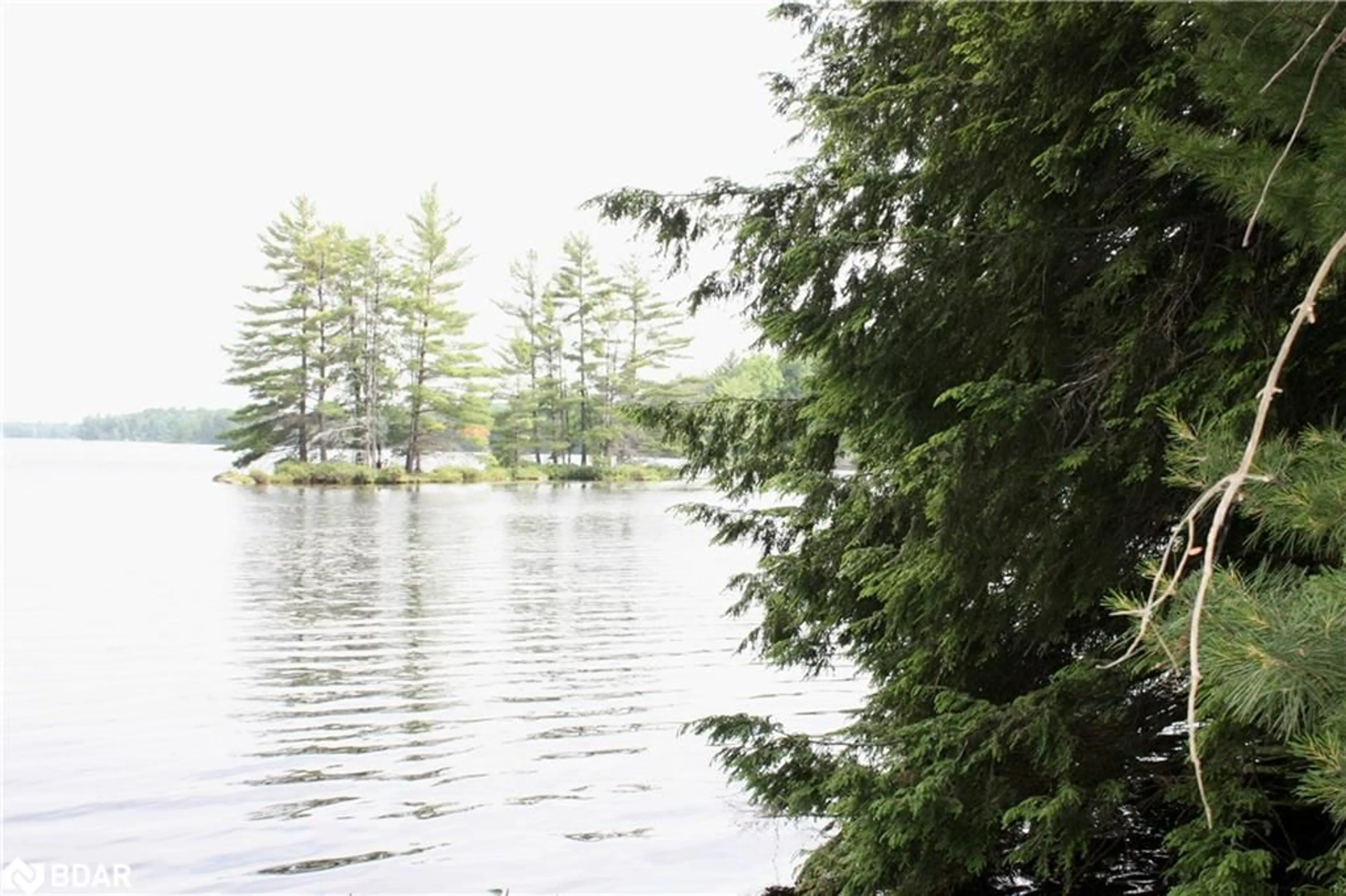 Blurry image for 0-WAO Kasshabog Lake #Lot 3, Havelock Ontario K0L 2H0