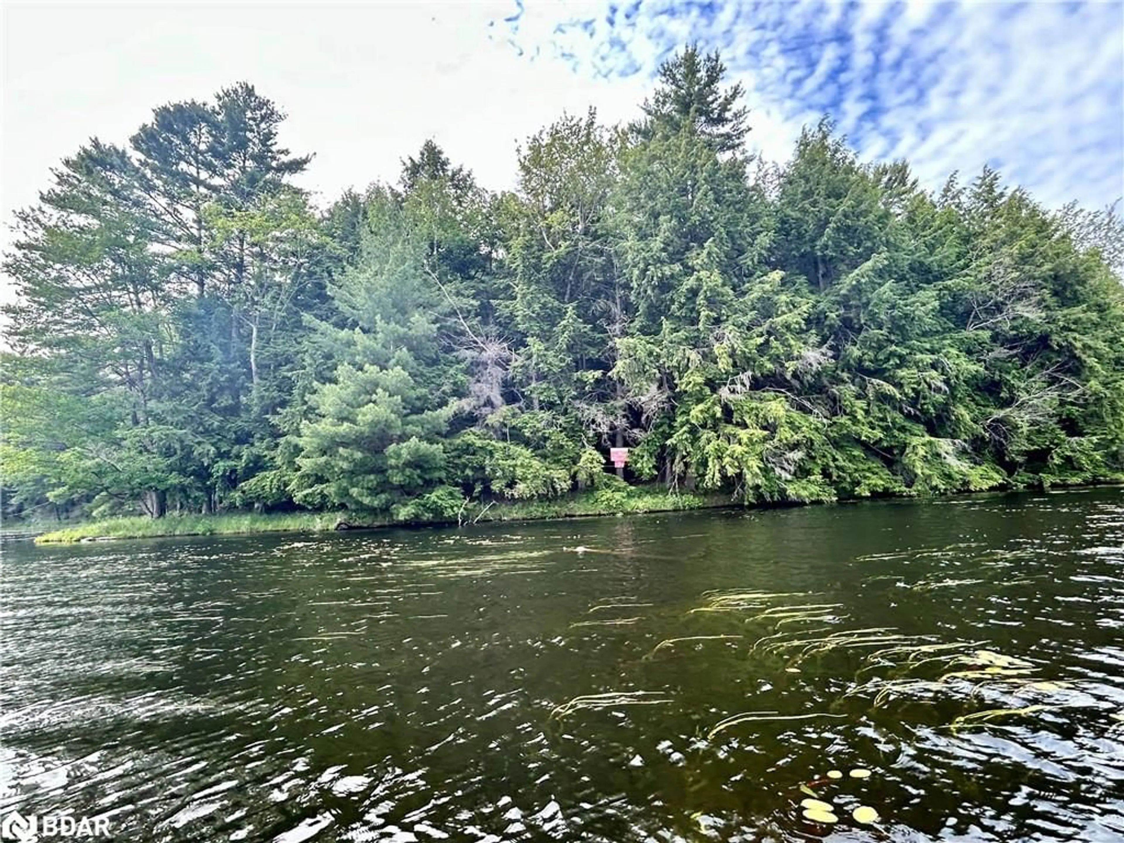 Blurry image for 0-WAO Kasshabog Lake #Lot 4, Havelock Ontario K0L 2H0