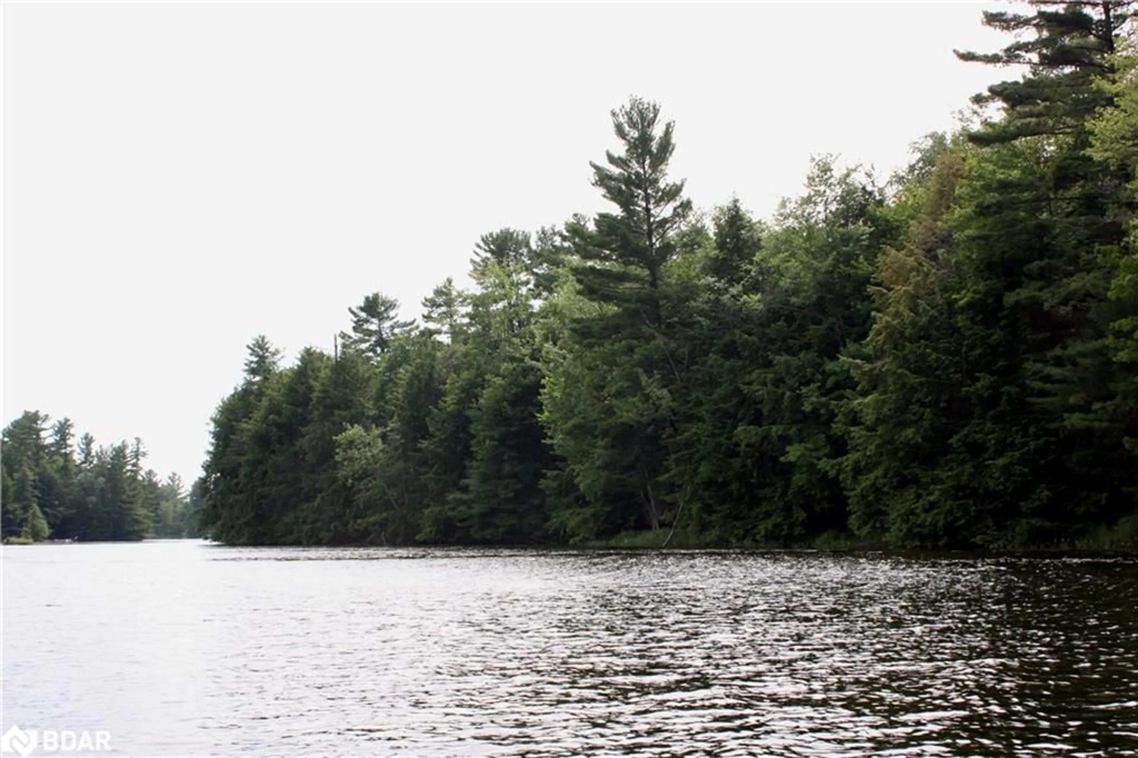 Blurry image for 0-WAO Kasshabog Lake #Lot 4, Havelock Ontario K0L 2H0