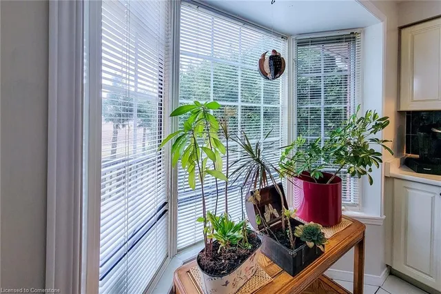 Additional property image - 251 Alderlea Ave