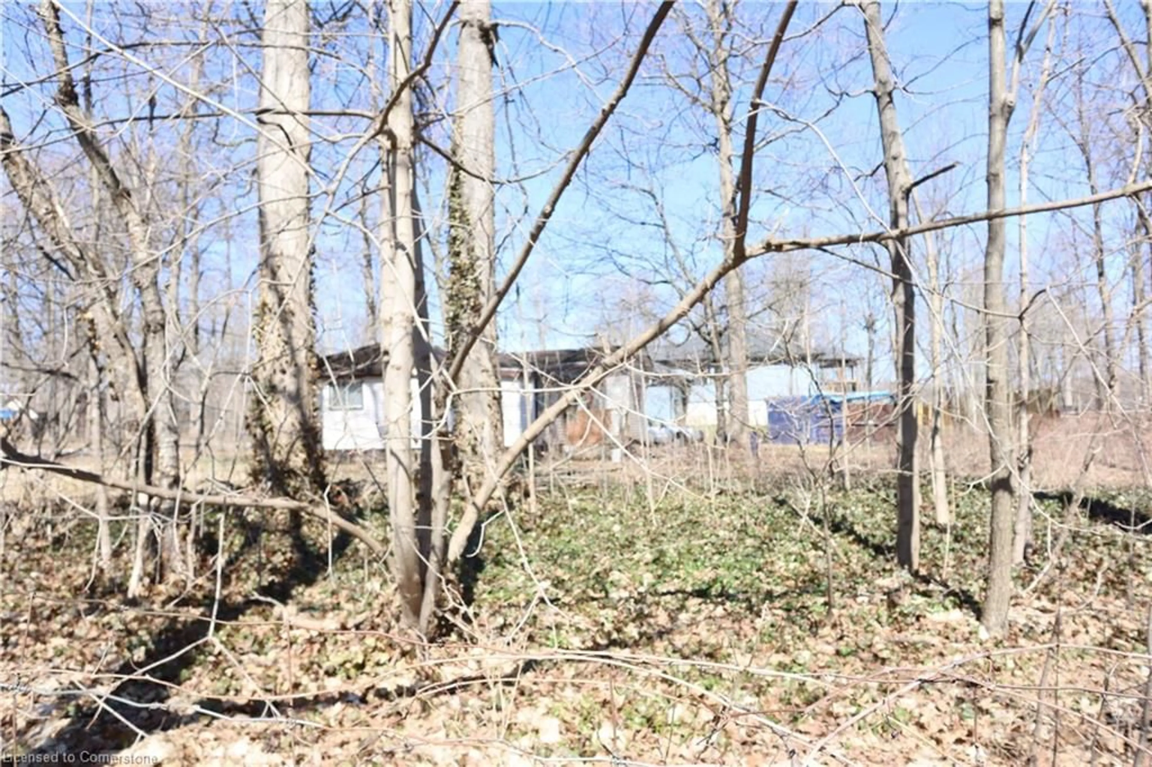 Unknown for 1008 Ridgewood Ave, Ridgeway Ontario L0S 1N0