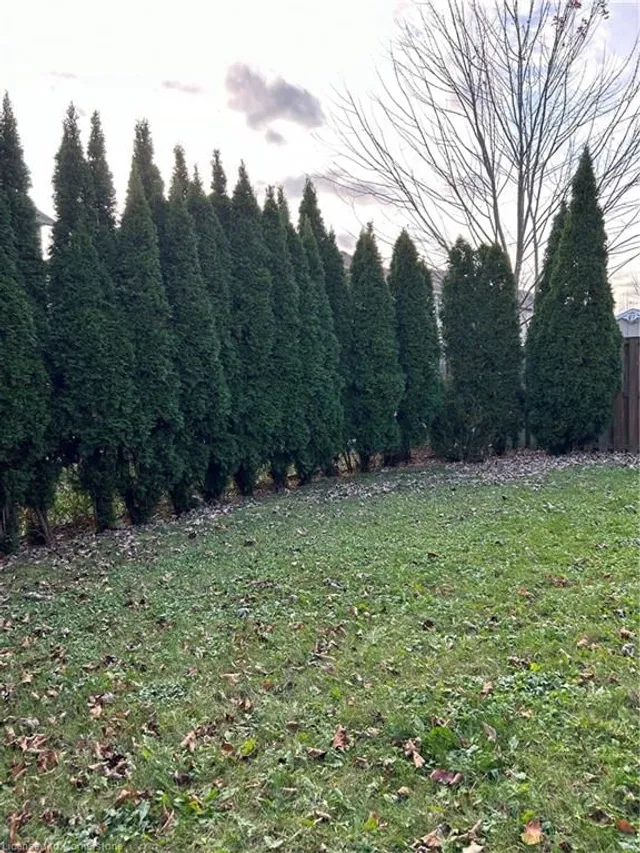 Additional image 8 of 73 Rosebury Way