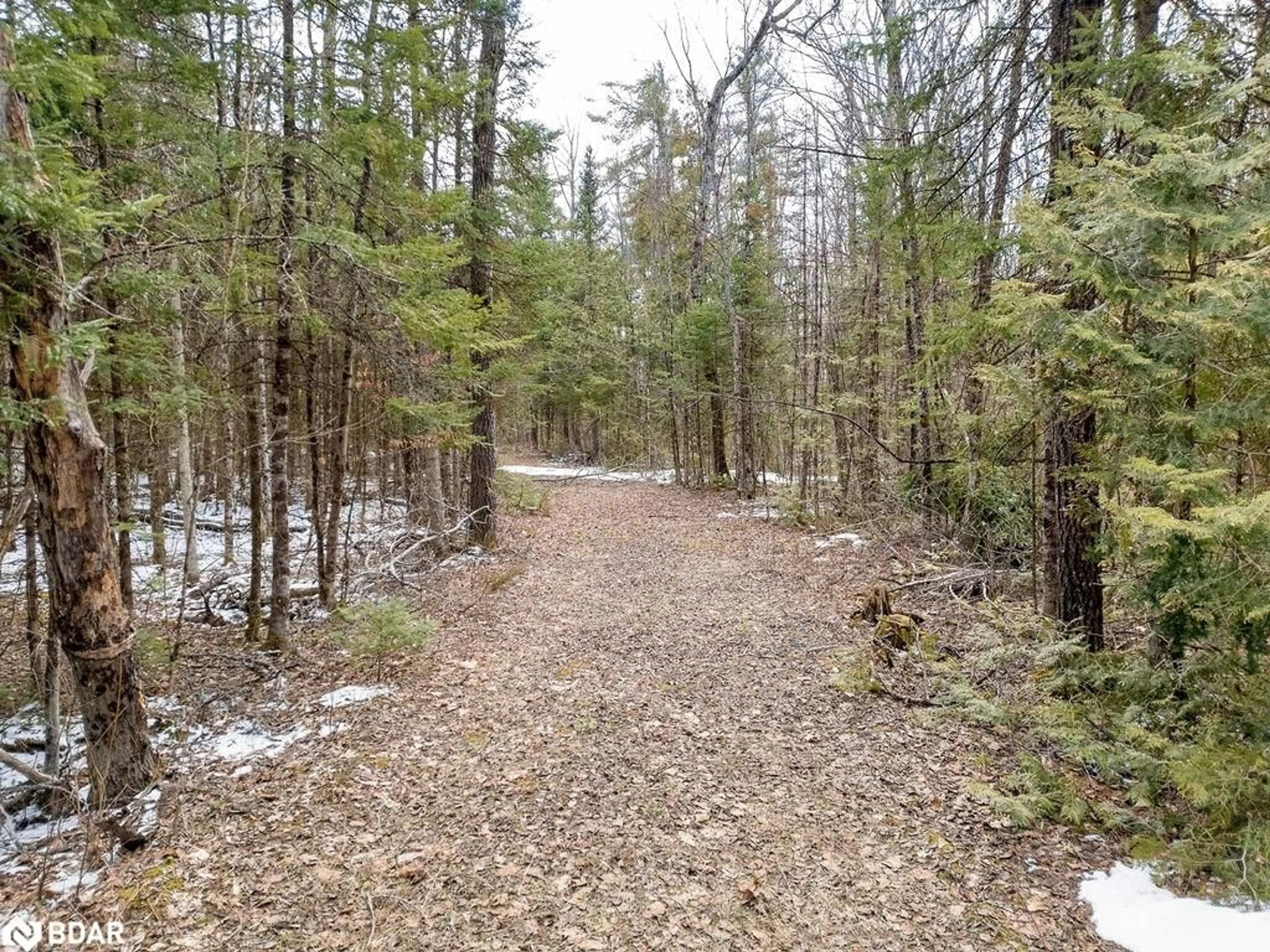Unknown for PT LT 24-25 Birchview Rd, Lakefield Ontario K0L 2H0