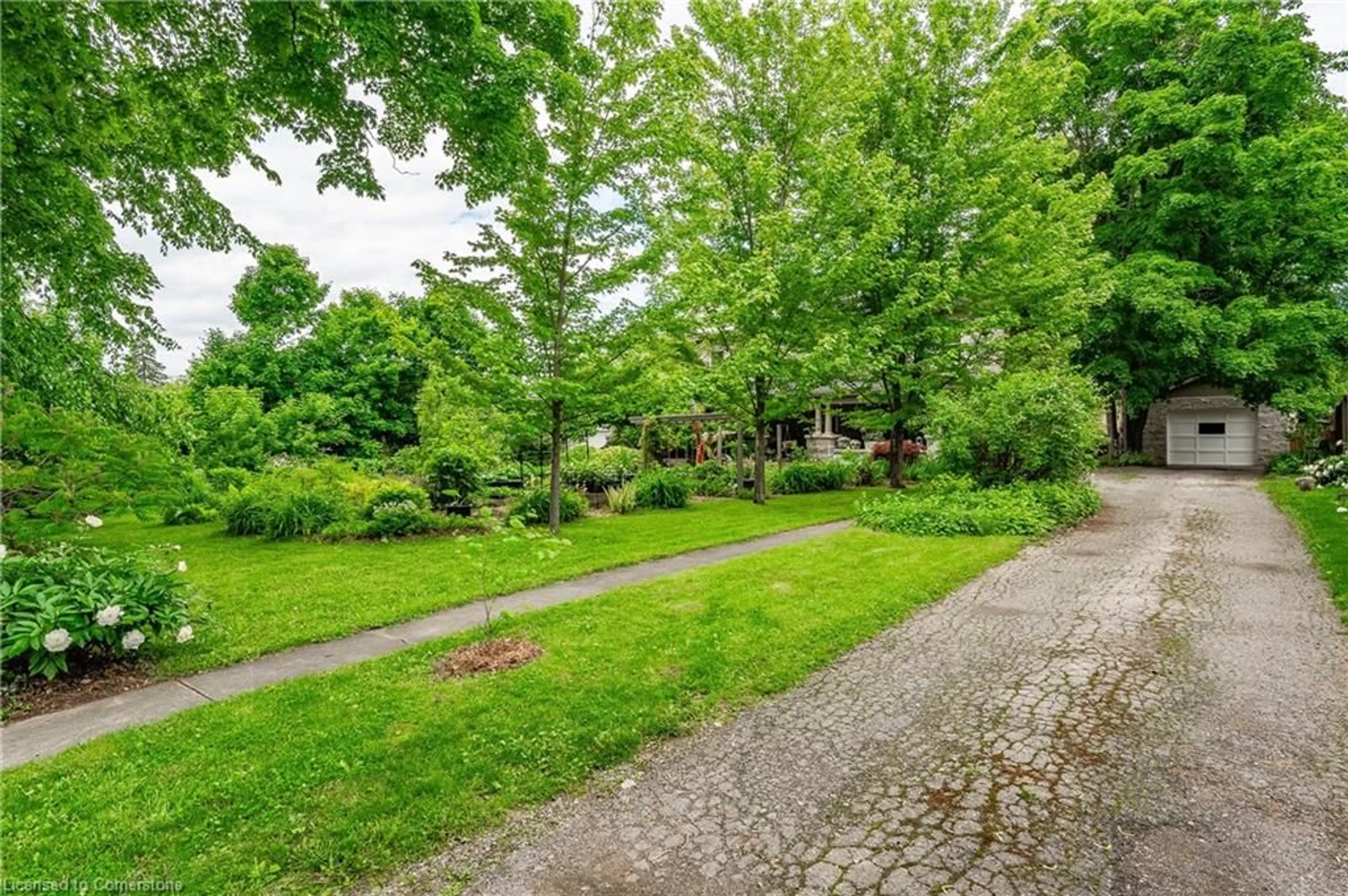 Patio, street for 35-37 Powell St, Guelph Ontario N1H 1V1