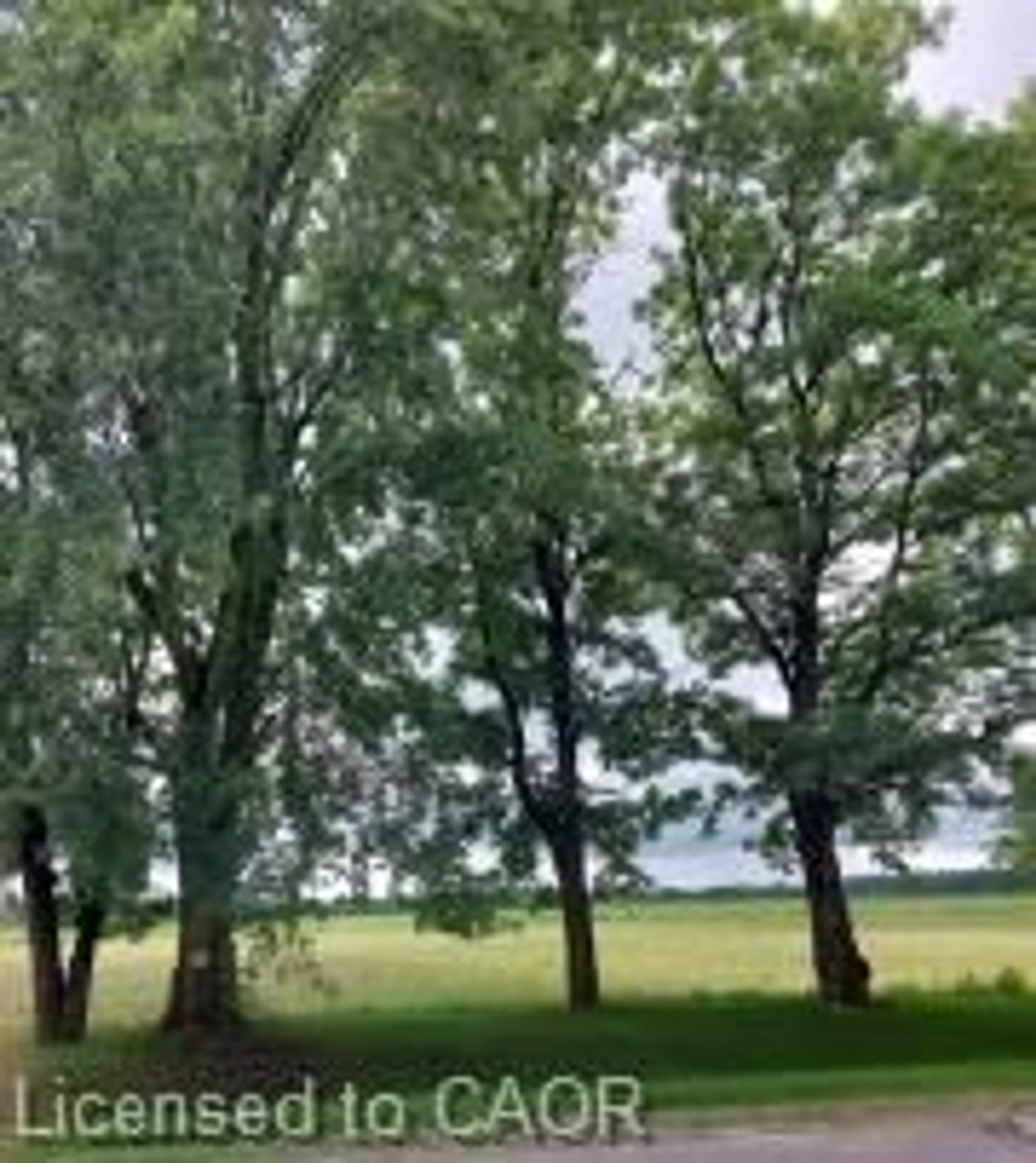 Blurry image for 29892 West Bothwell Rd, Bothwell Ontario N0P 1C0
