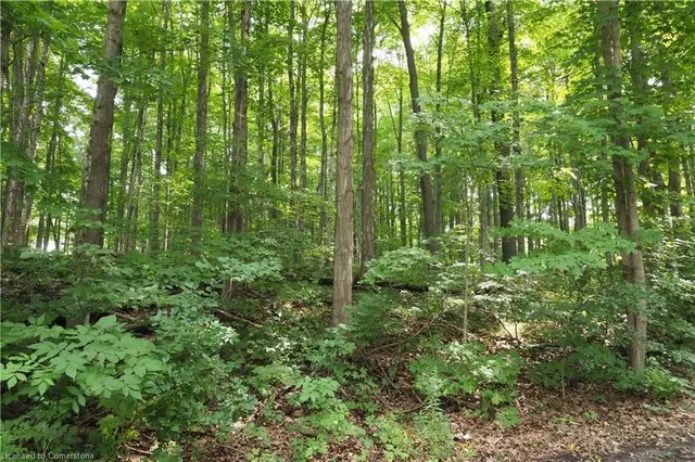 Additional property image - 55 Green Valley Dr Unit 609