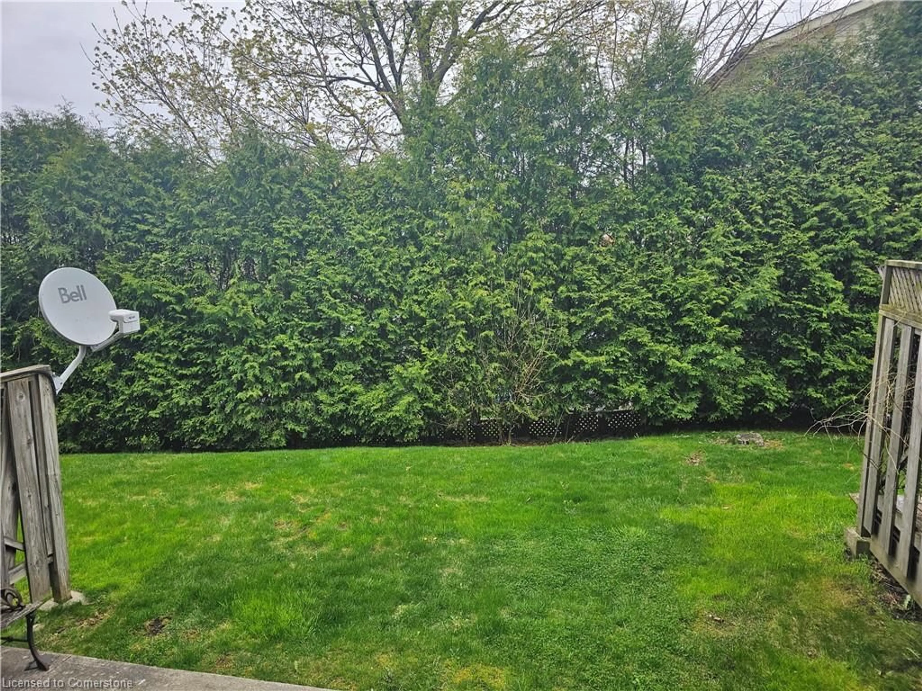 A pic from outside/outdoor area/front of a property/back of a property/a pic from drone, forest/trees view for 924 Mohawk Rd #C, Hamilton Ontario L9C 6Z3