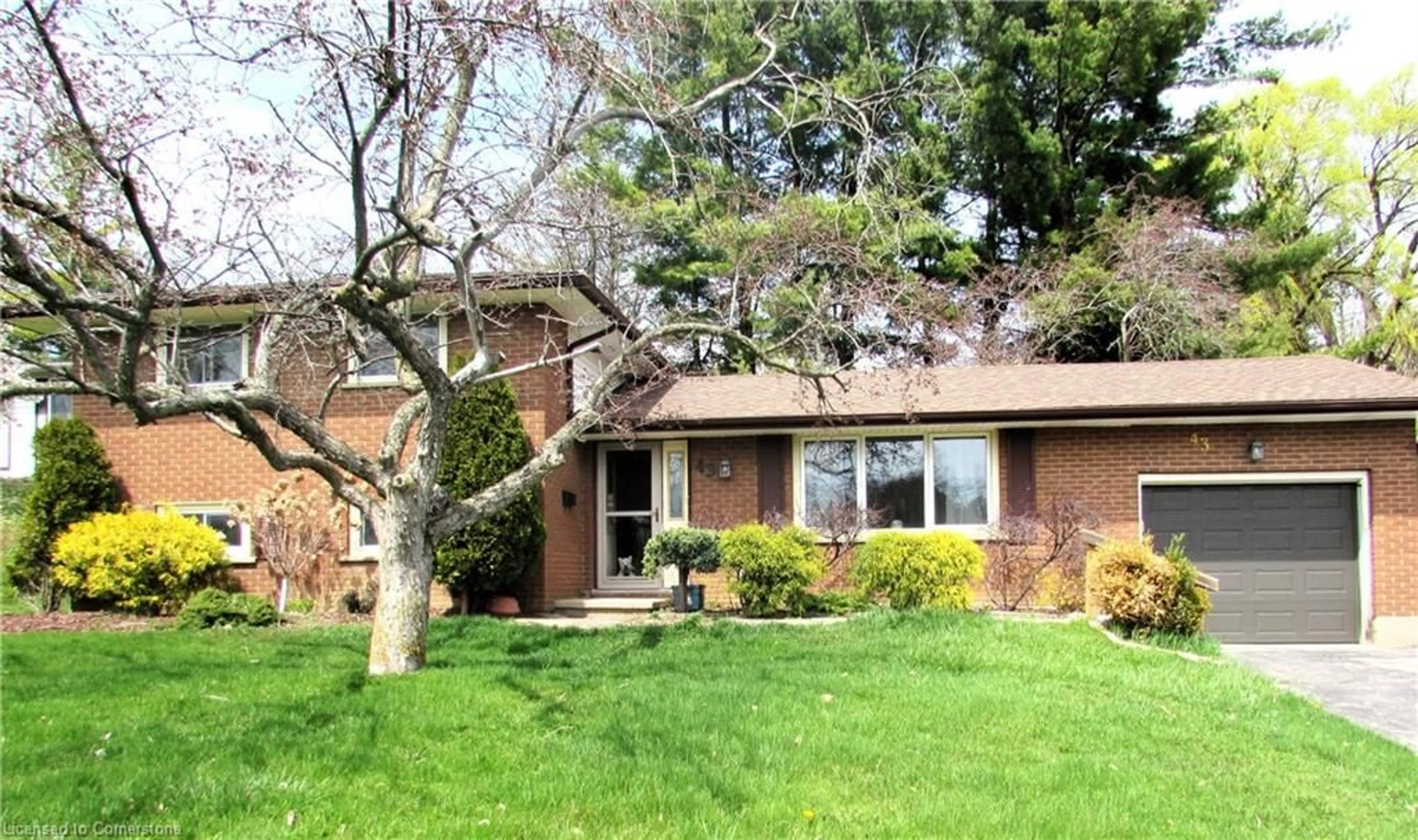 Home with brick exterior material, street for 43 Cherry St, Simcoe Ontario N3Y 1B3