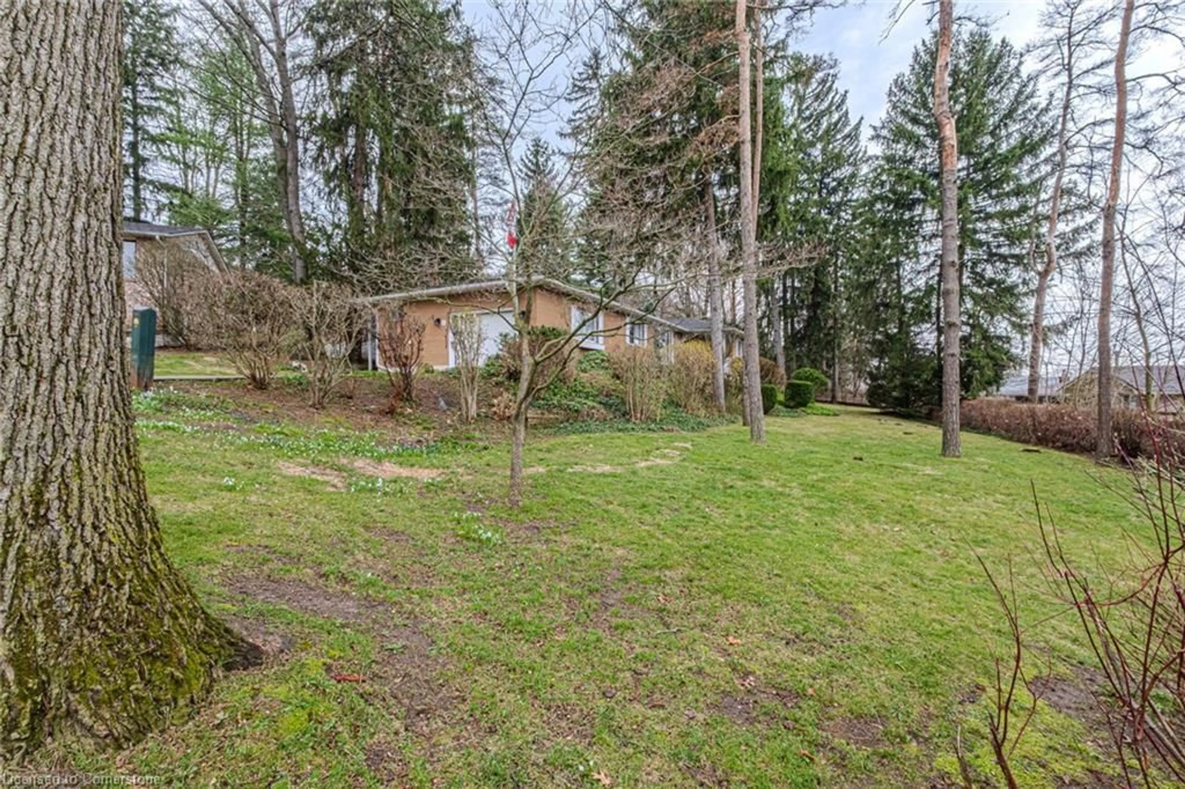 Patio, forest/trees view for 8 Glenda St, Simcoe Ontario N3Y 4T3