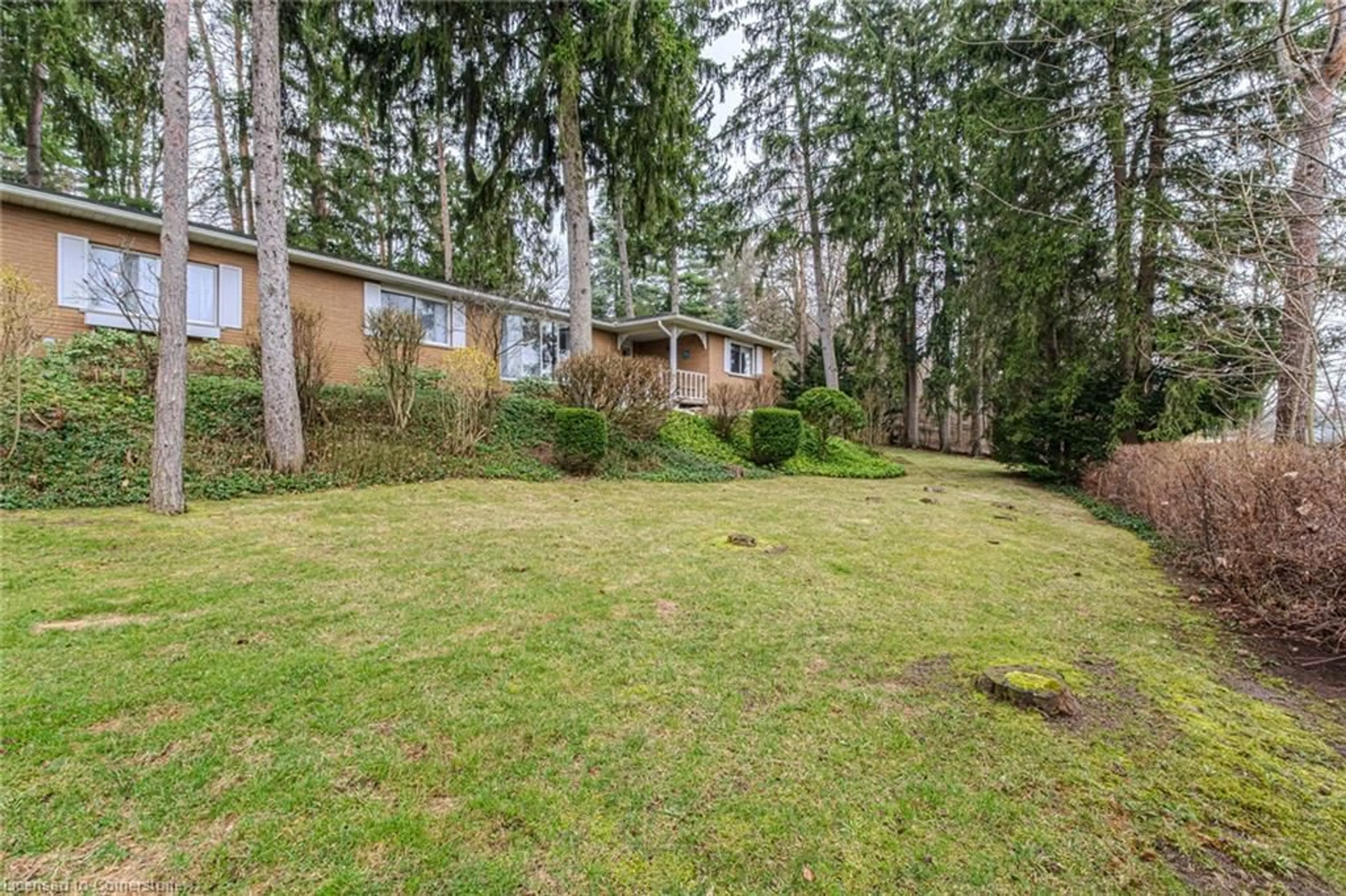 A pic from outside/outdoor area/front of a property/back of a property/a pic from drone, forest/trees view for 8 Glenda St, Simcoe Ontario N3Y 4T3