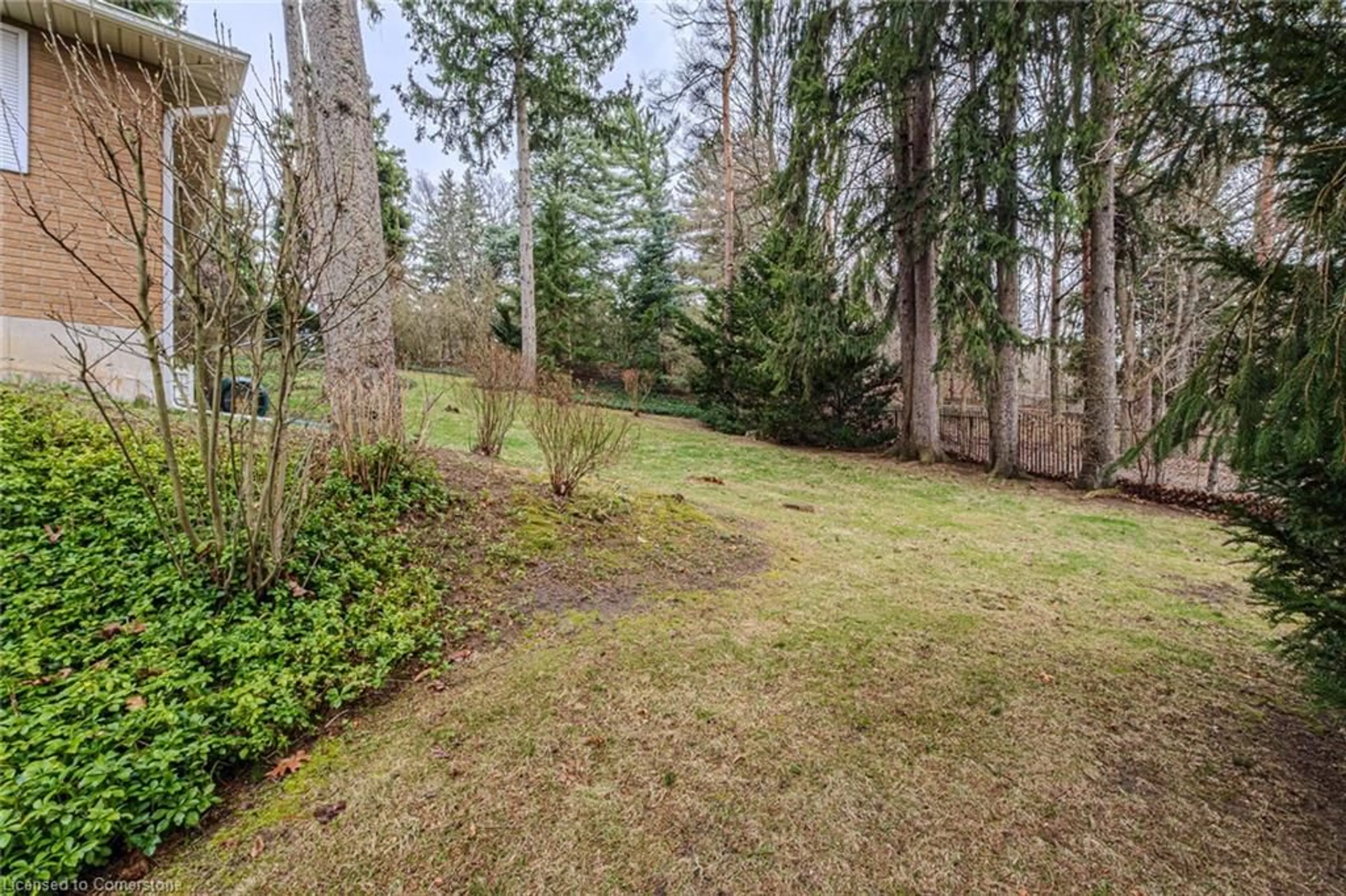 Patio, forest/trees view for 8 Glenda St, Simcoe Ontario N3Y 4T3