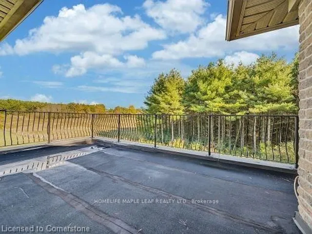 Additional property image - 12601 Nassagaweya Puslinch Tline