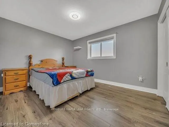 Additional property image - 12601 Nassagaweya Puslinch Tline