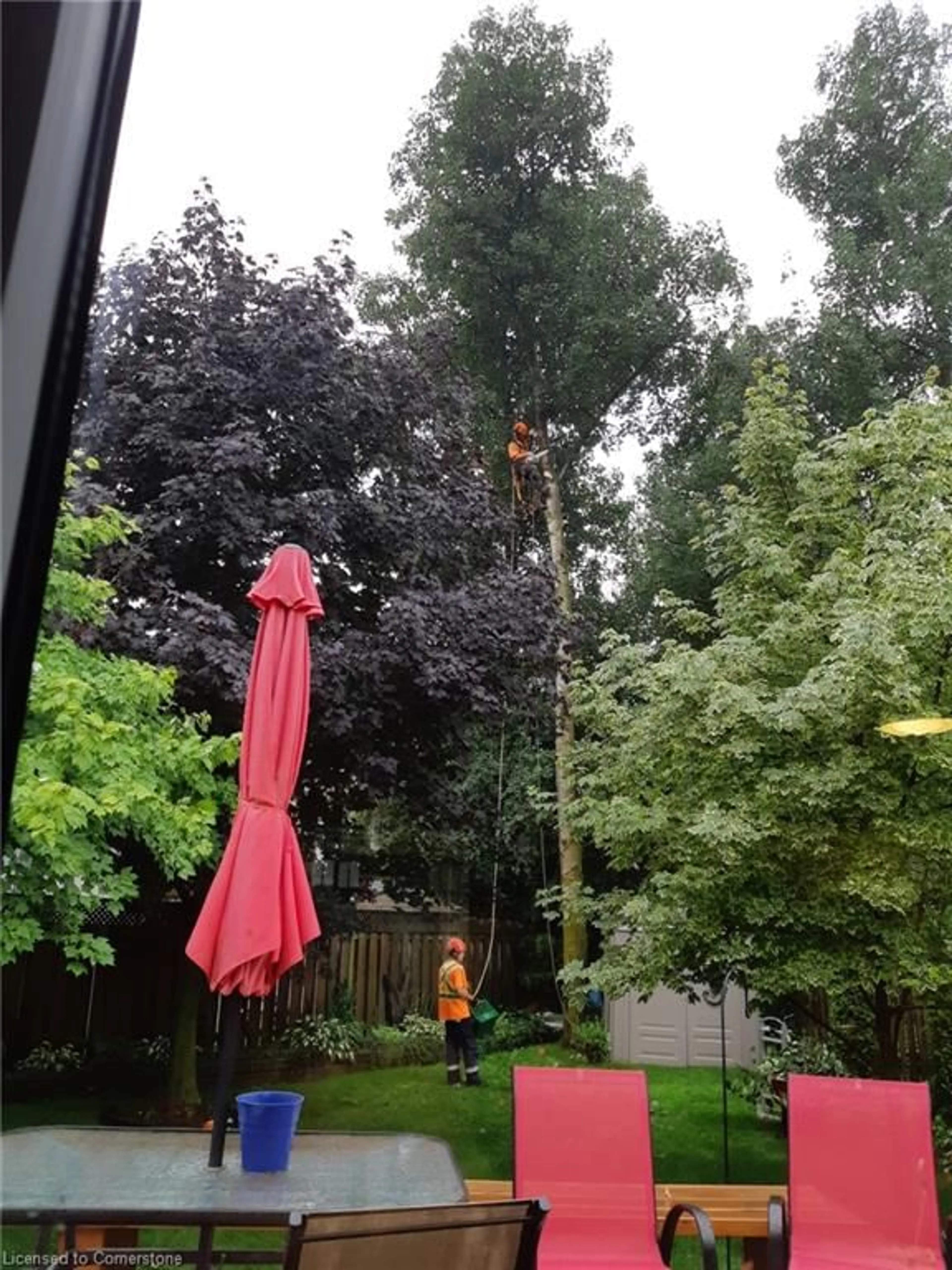 Patio, forest/trees view for 111 Briarmeadow Pl, Kitchener Ontario N2A 4C6