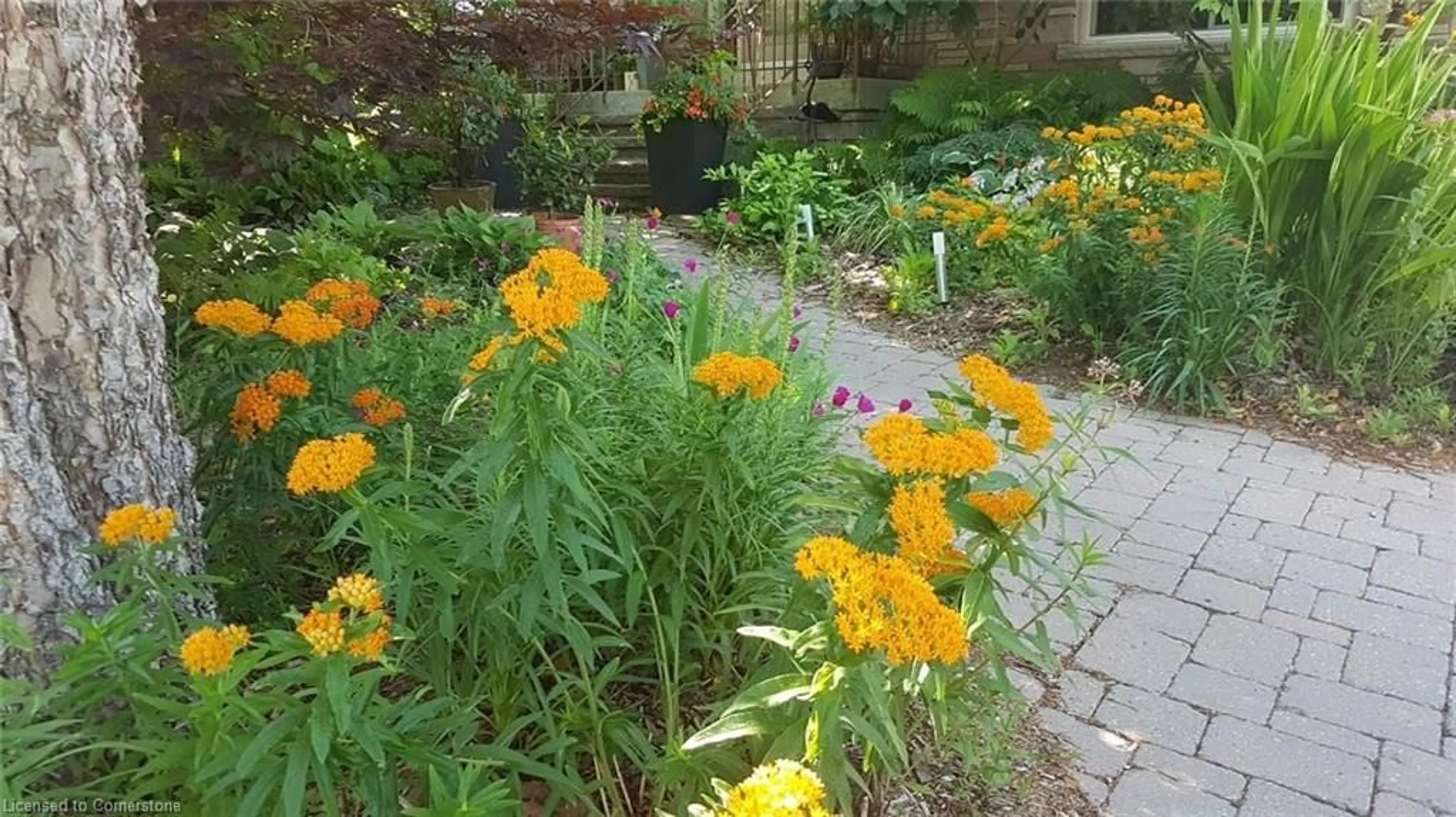 Patio, street for 92 Delmar Dr, Hamilton Ontario L9C 1J7