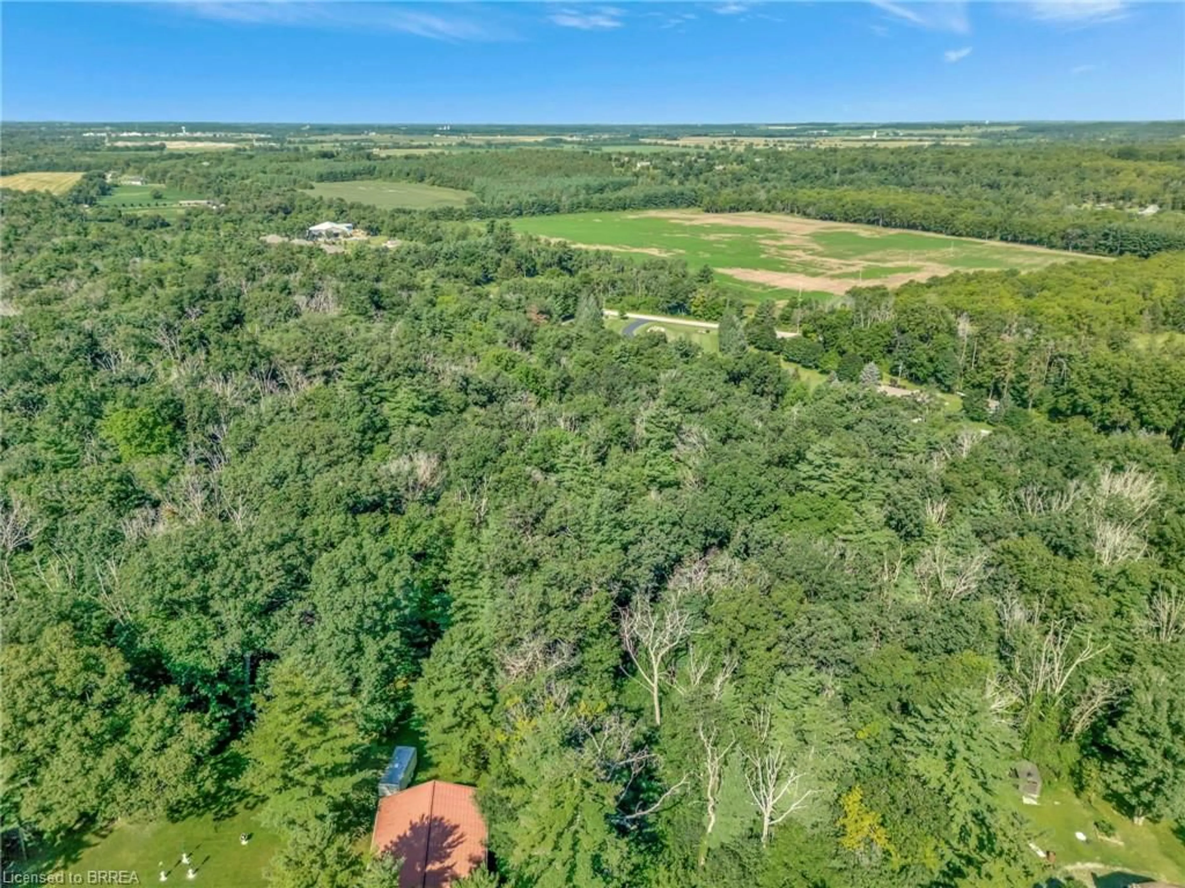 A pic from outside/outdoor area/front of a property/back of a property/a pic from drone, forest/trees view for 169 Clarke Rd, Paris Ontario N3L 3E1