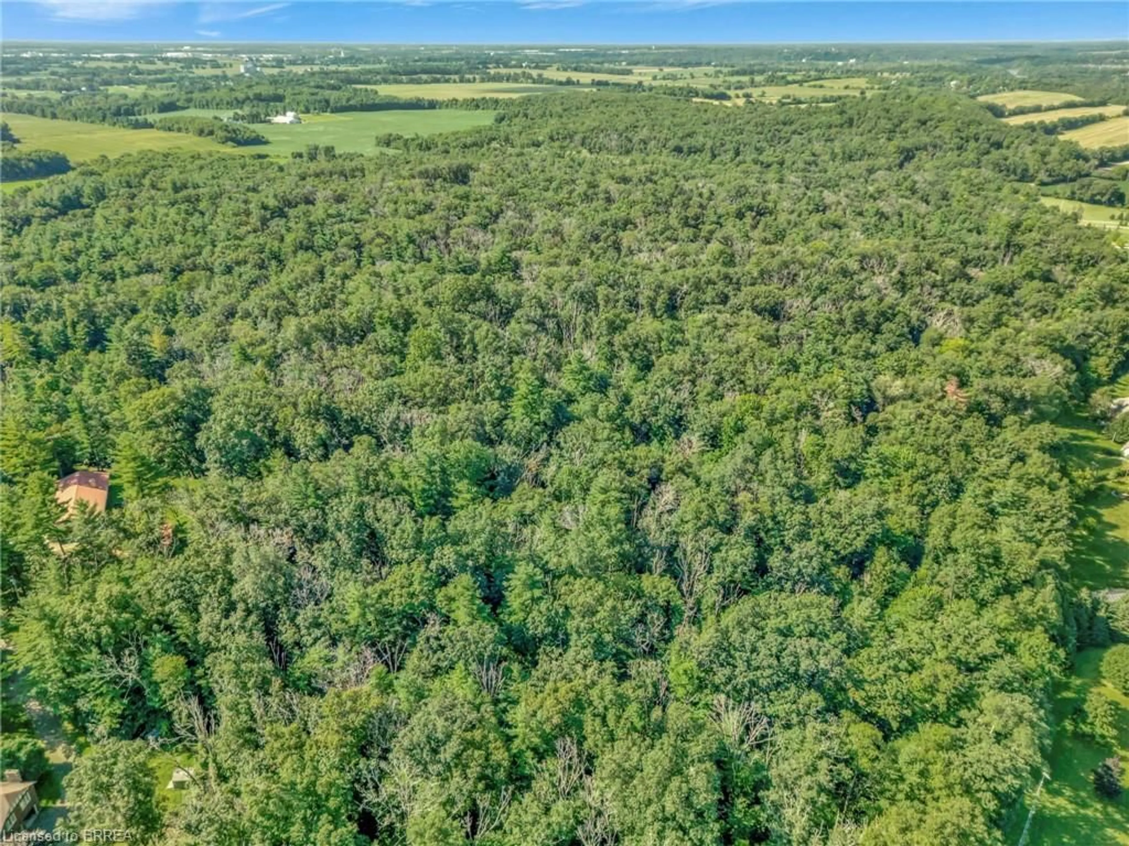 A pic from outside/outdoor area/front of a property/back of a property/a pic from drone, forest/trees view for 169 Clarke Rd, Paris Ontario N3L 3E1