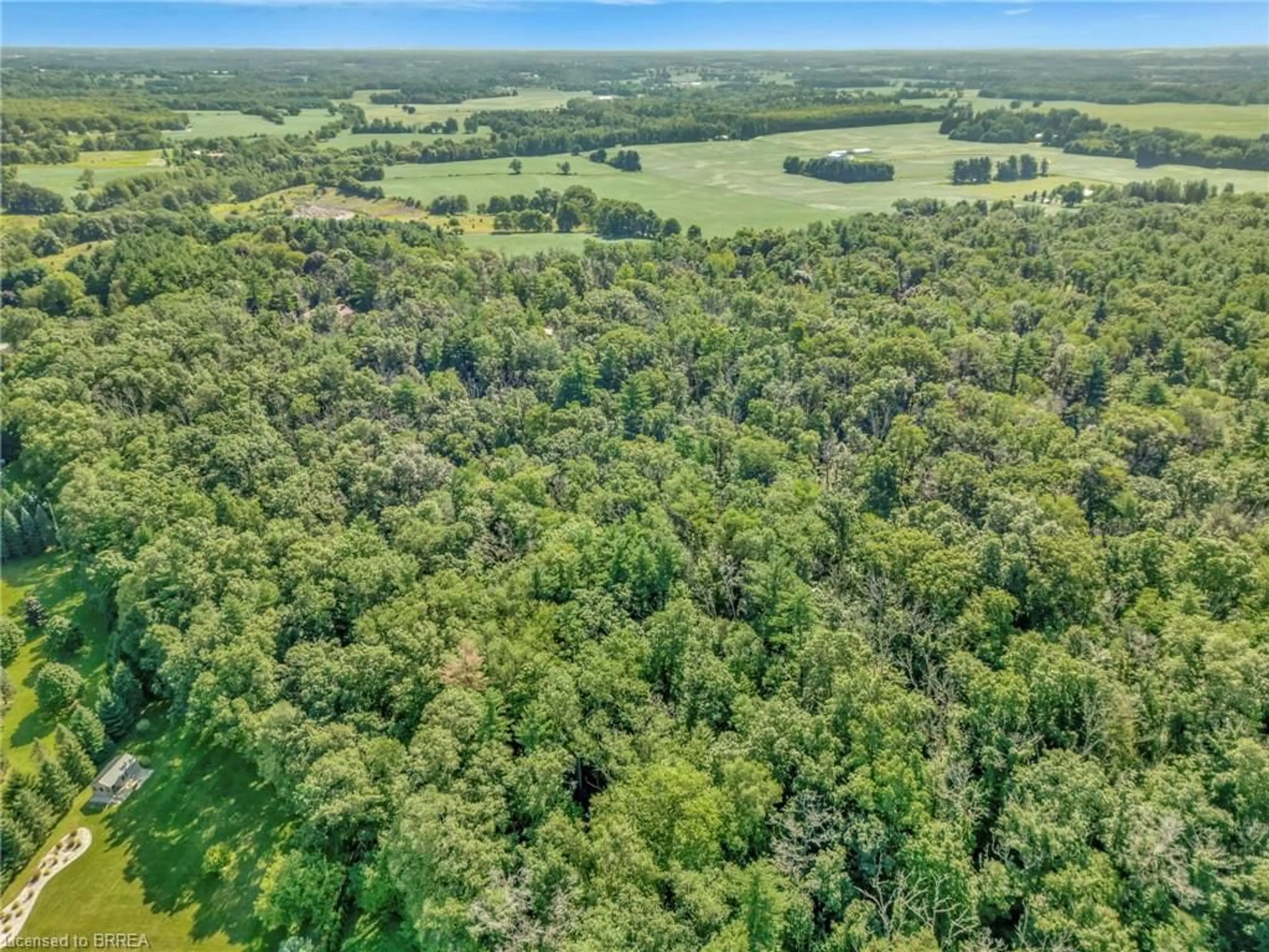 A pic from outside/outdoor area/front of a property/back of a property/a pic from drone, forest/trees view for 169 Clarke Rd, Paris Ontario N3L 3E1