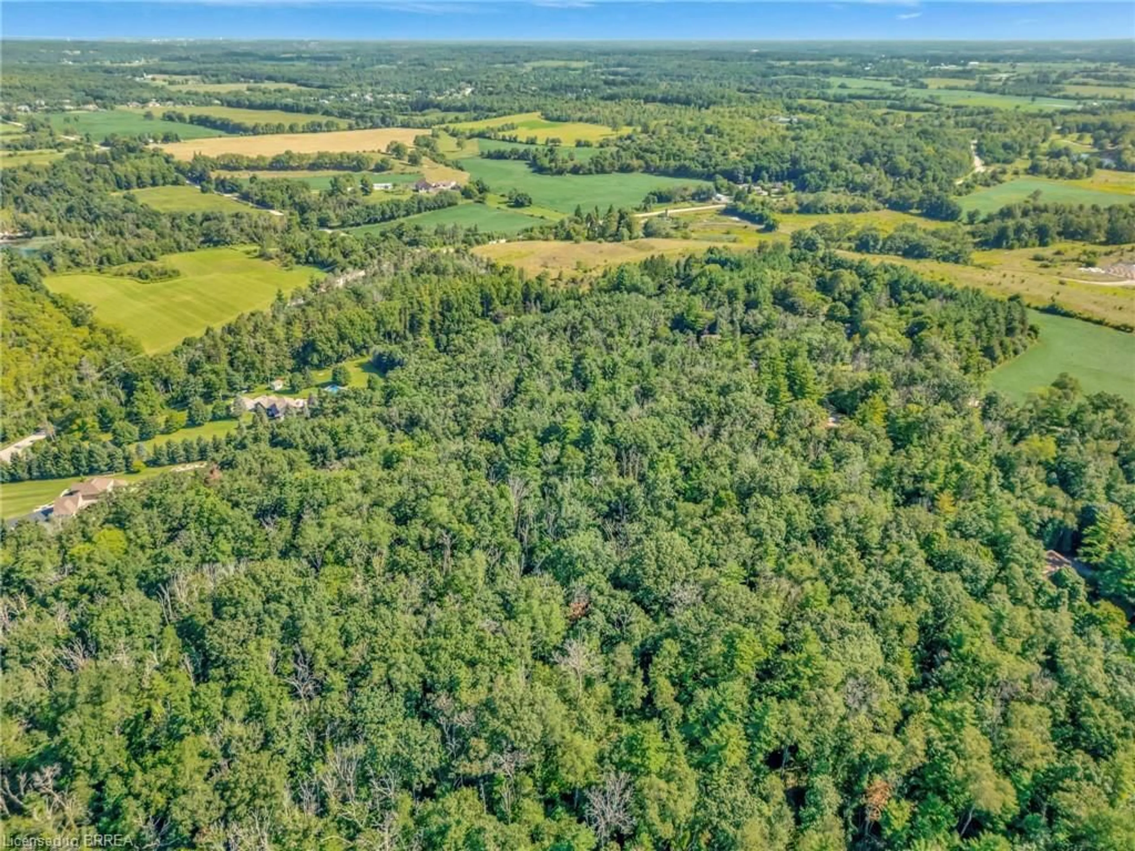 A pic from outside/outdoor area/front of a property/back of a property/a pic from drone, forest/trees view for 169 Clarke Rd, Paris Ontario N3L 3E1