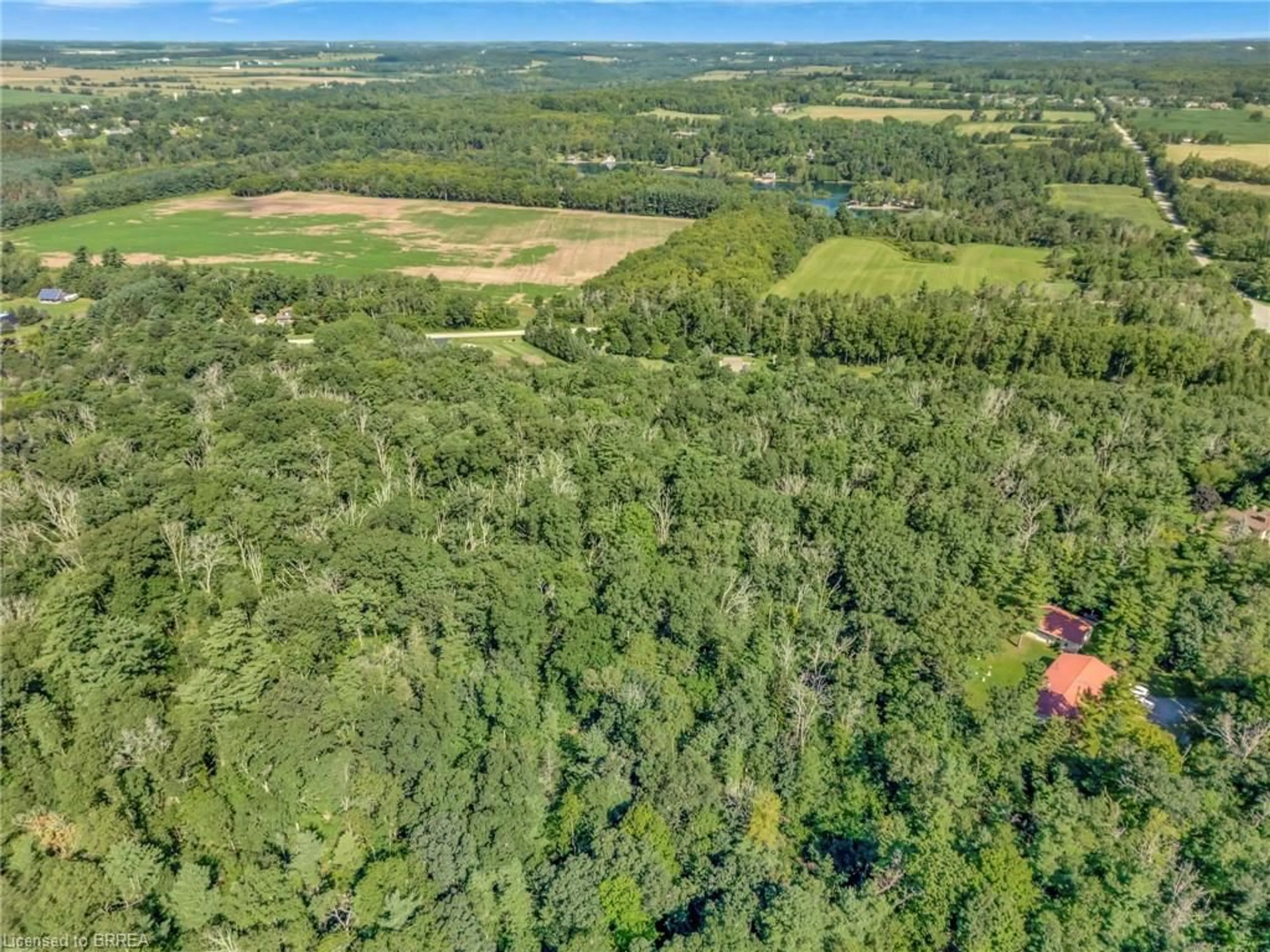 A pic from outside/outdoor area/front of a property/back of a property/a pic from drone, forest/trees view for 169 Clarke Rd, Paris Ontario N3L 3E1