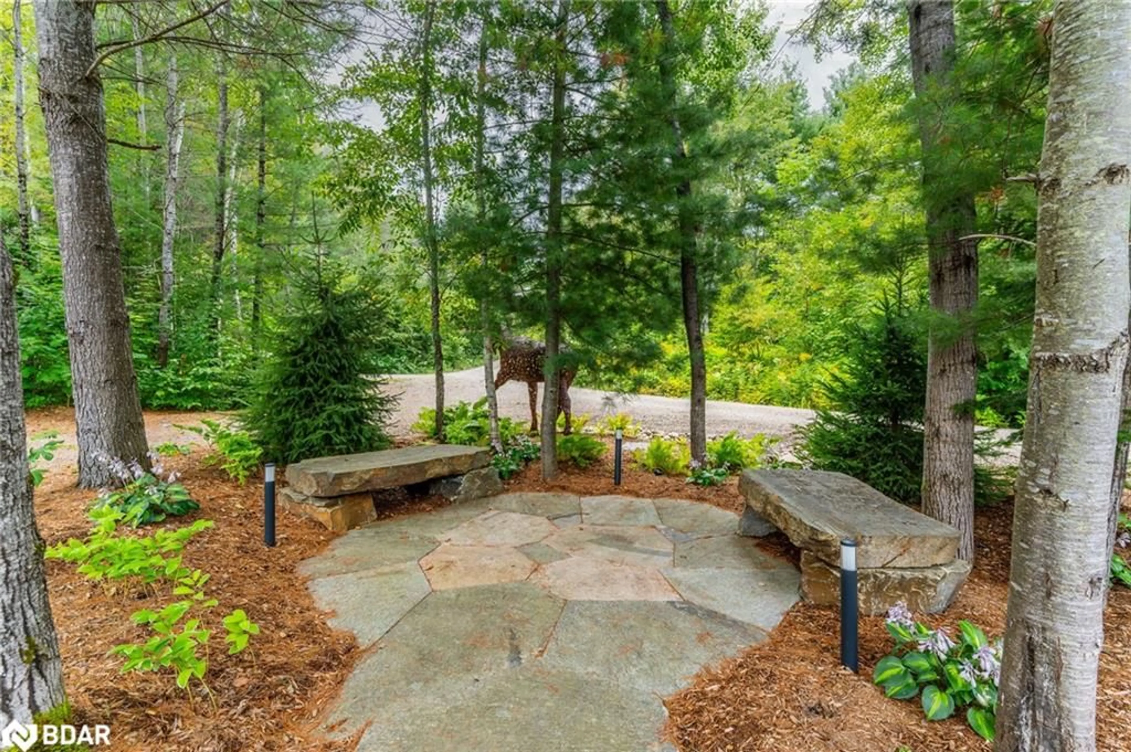 Patio, unknown for 15076 Highway 118, Haliburton Ontario K0M 1S0