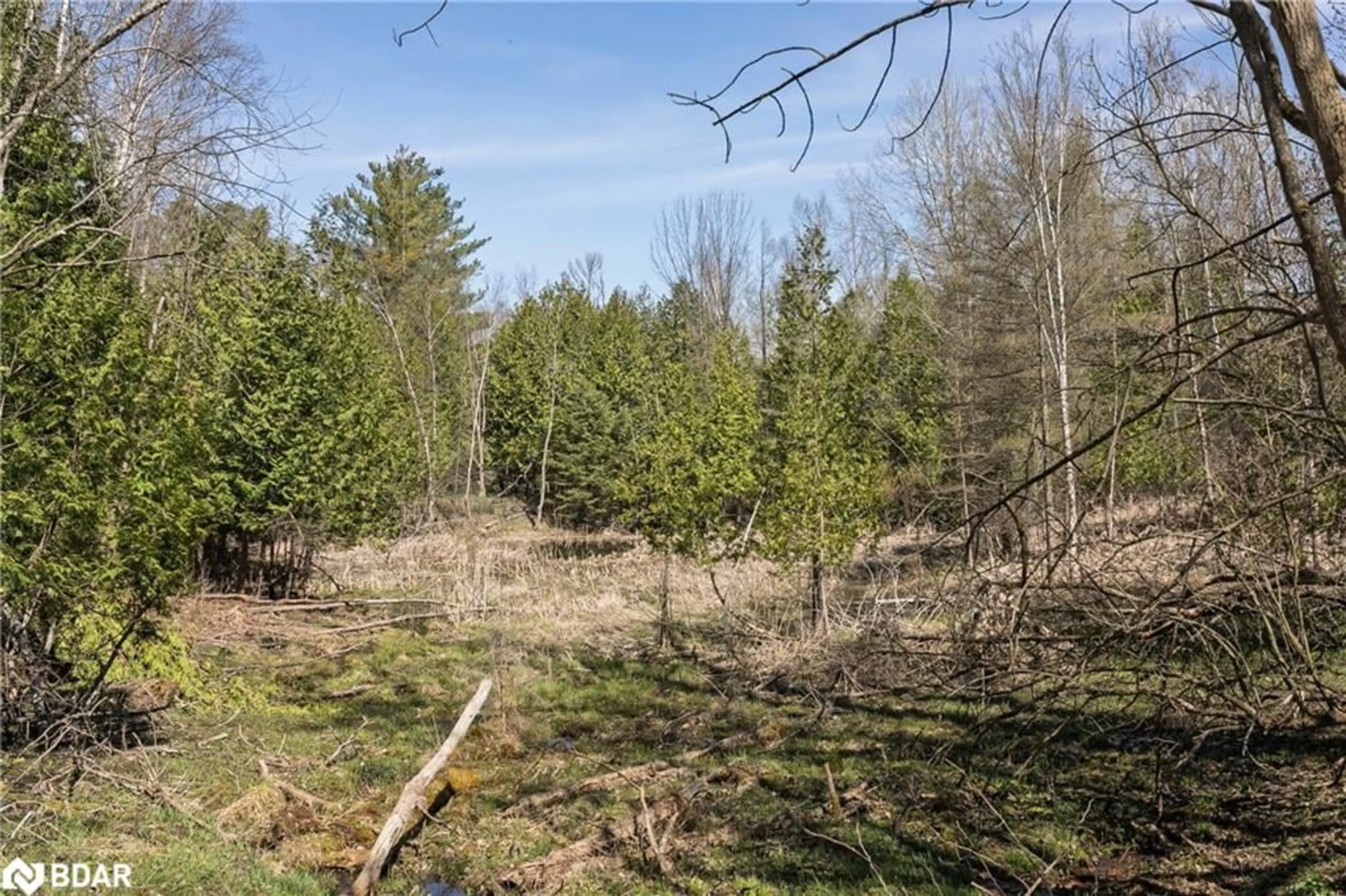 A pic from outside/outdoor area/front of a property/back of a property/a pic from drone, forest/trees view for 8294 County Rd 27, Barrie Ontario L4N 9C4