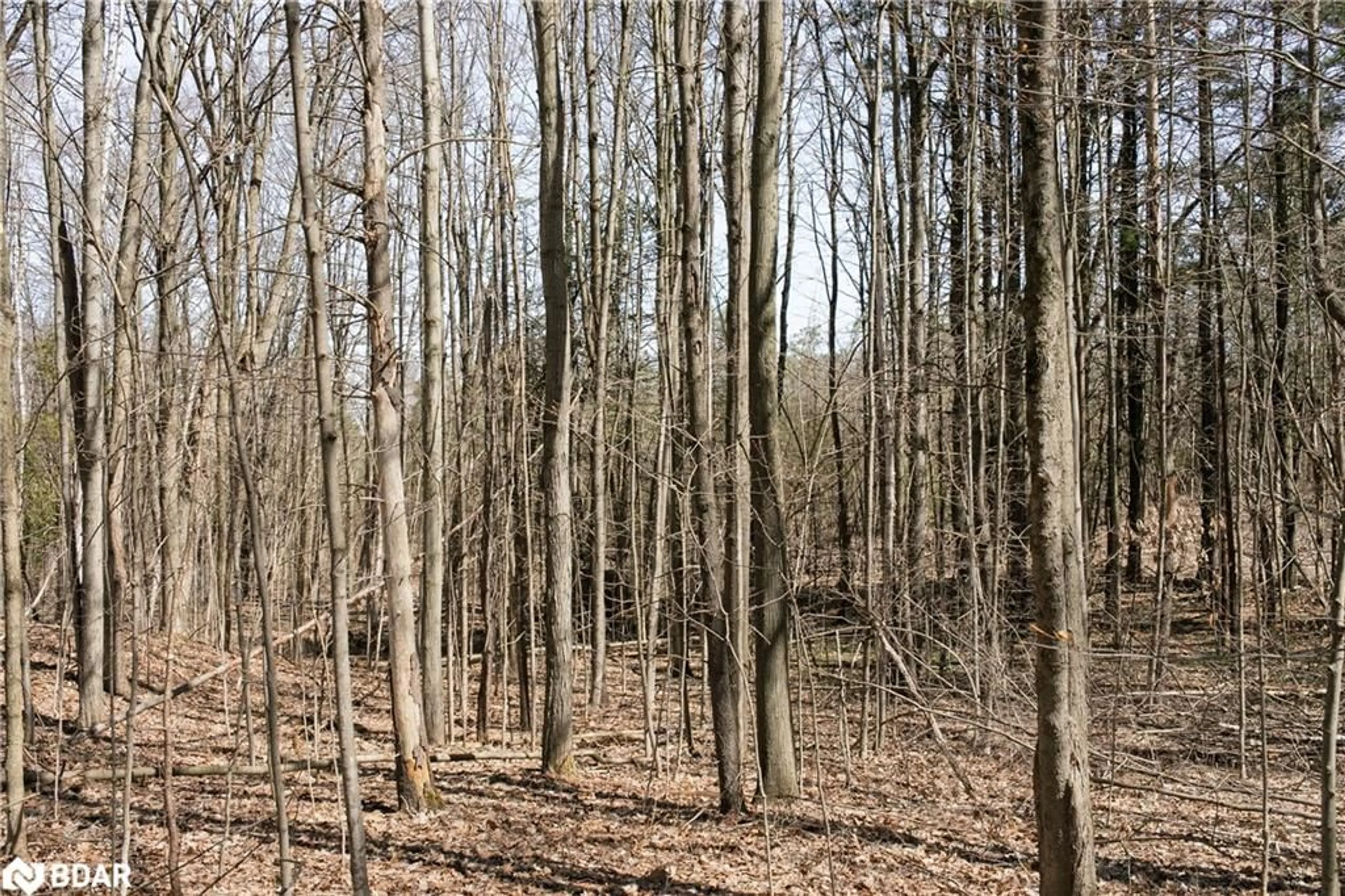 Unknown for 8294 County Rd 27, Barrie Ontario L4N 9C4