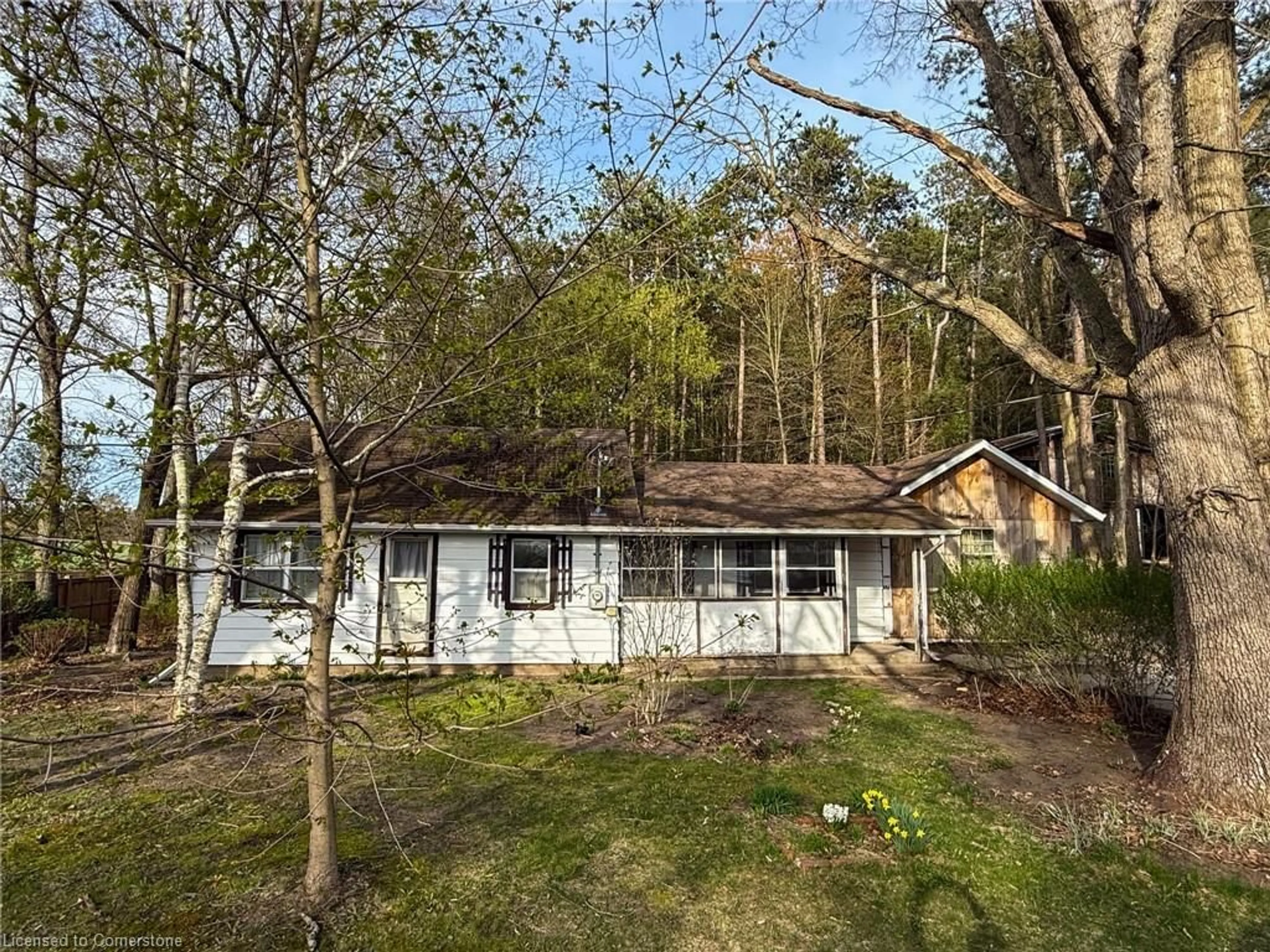 A pic from outside/outdoor area/front of a property/back of a property/a pic from drone, forest/trees view for 1750 Charlotteville West Quarter Line, Simcoe Ontario N3Y 4J9