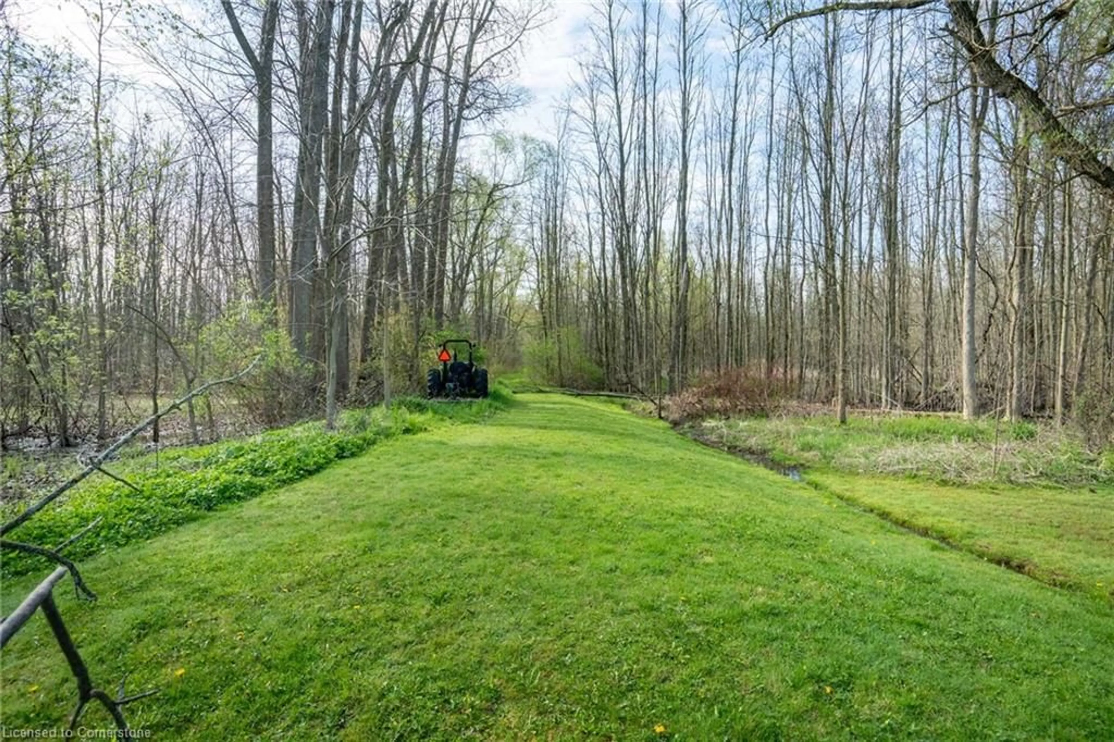 A pic from outside/outdoor area/front of a property/back of a property/a pic from drone, forest/trees view for PC LOT 15 4th Concession Rd, Hamilton Ontario L8B 0L5