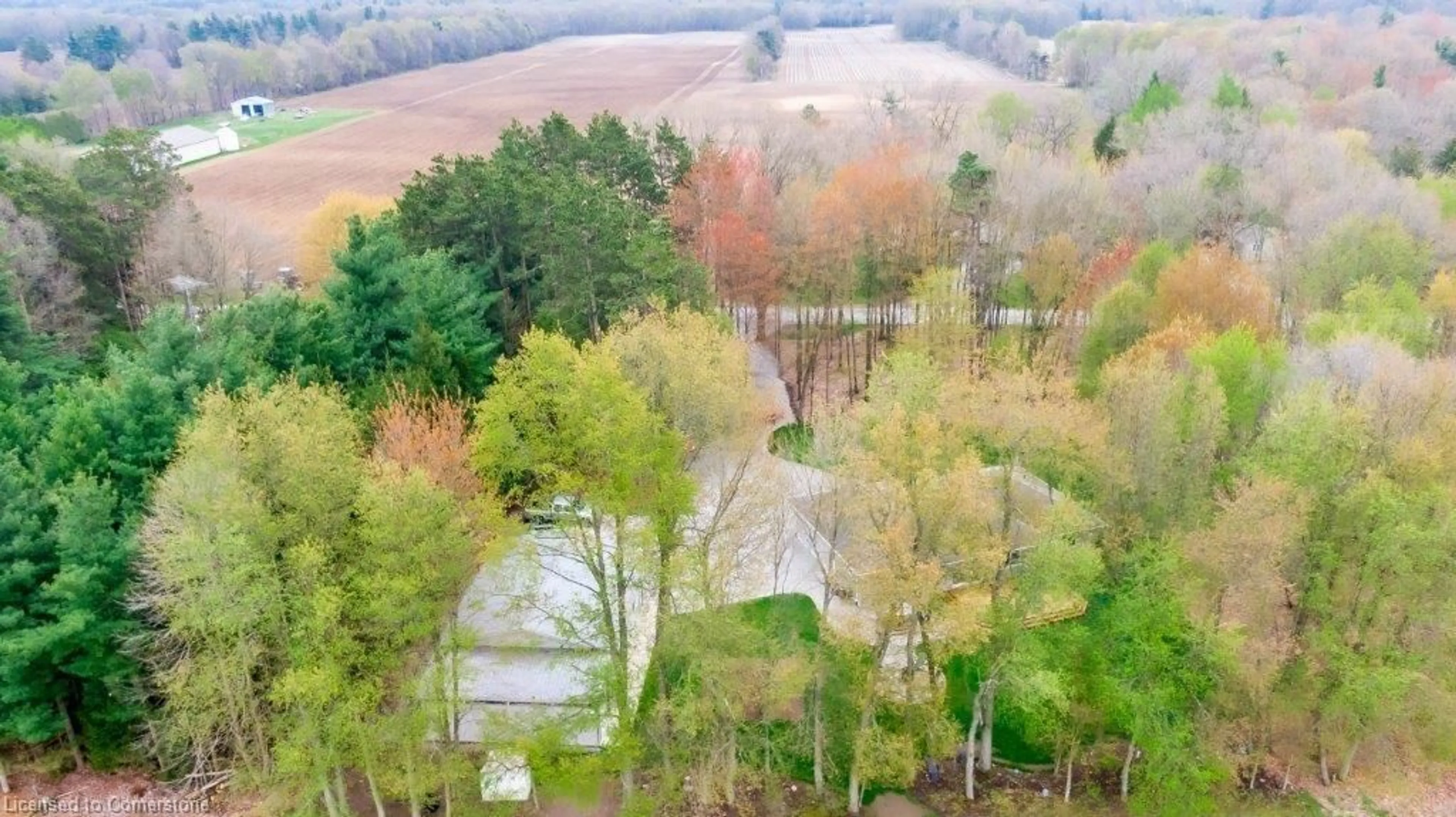 A pic from outside/outdoor area/front of a property/back of a property/a pic from drone, forest/trees view for 1489 8th Conc Rd Conc, Langton Ontario N0E 1G0