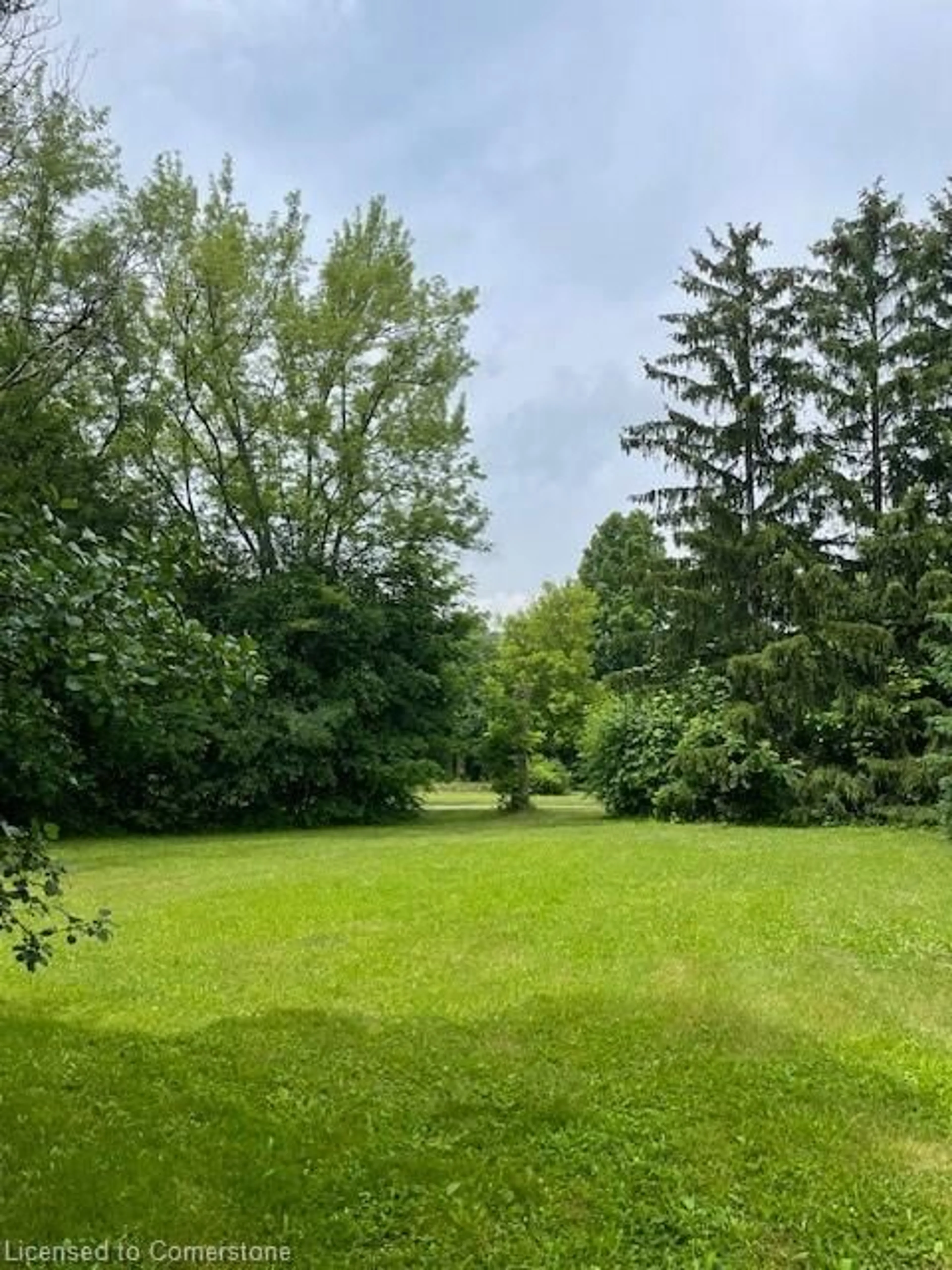 A pic from outside/outdoor area/front of a property/back of a property/a pic from drone, forest/trees view for 99 Mcbay Rd, Brantford Ontario N3T 5L4