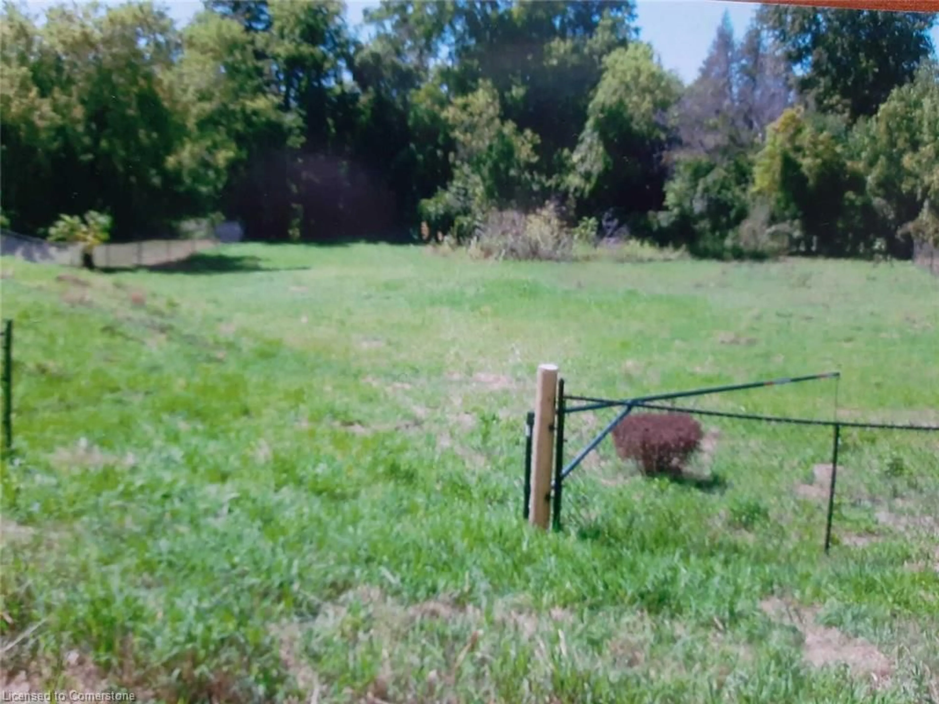 A pic from outside/outdoor area/front of a property/back of a property/a pic from drone, forest/trees view for 8 Hazel St, Beaverton Ontario L0K 1A0