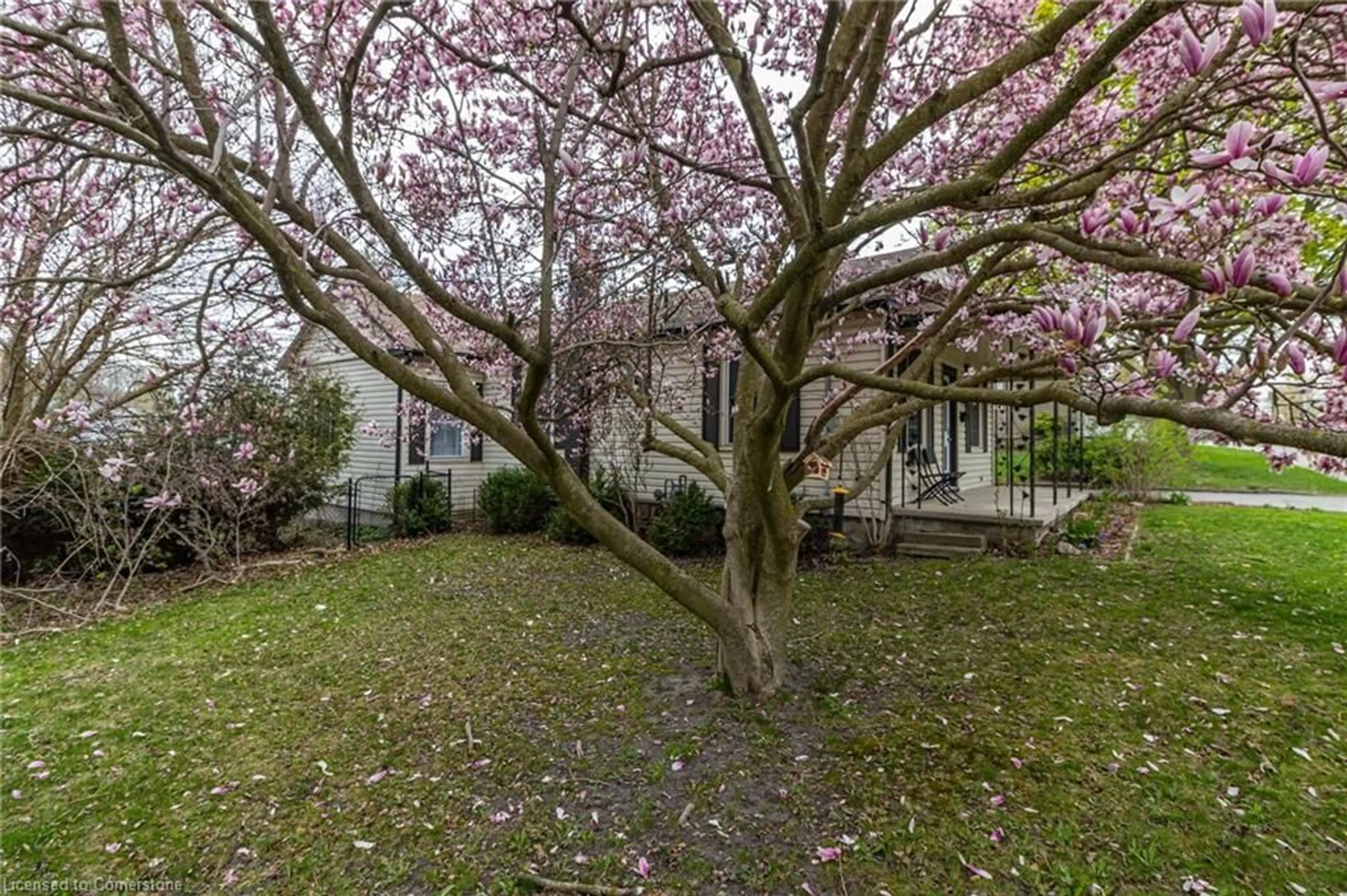 Patio, street for 129 Wilson Ave, Woodstock Ontario N4S 3P2
