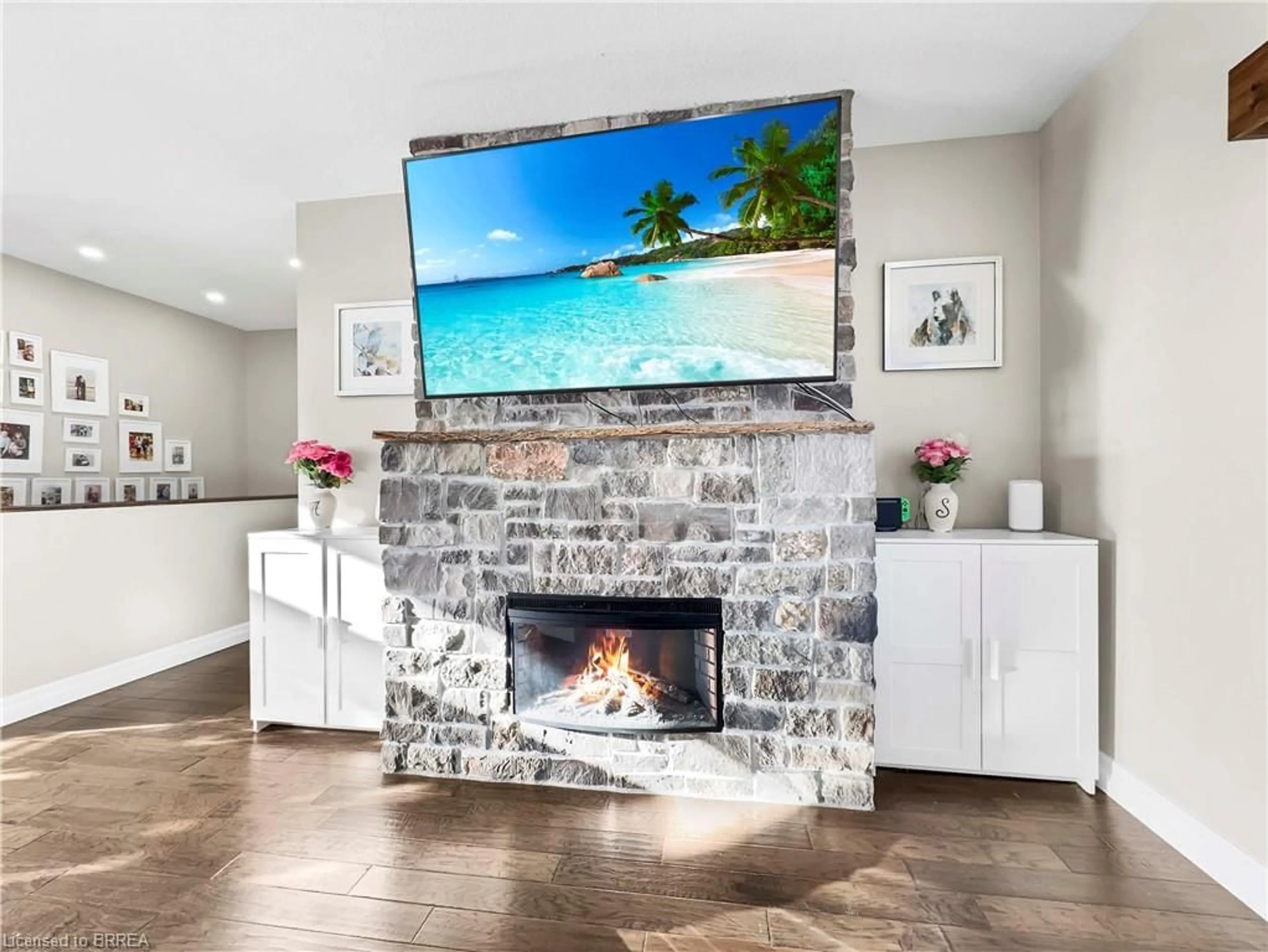 Home theater for 236 Burford Delhi Townline Rd, Scotland Ontario N0E 1R0