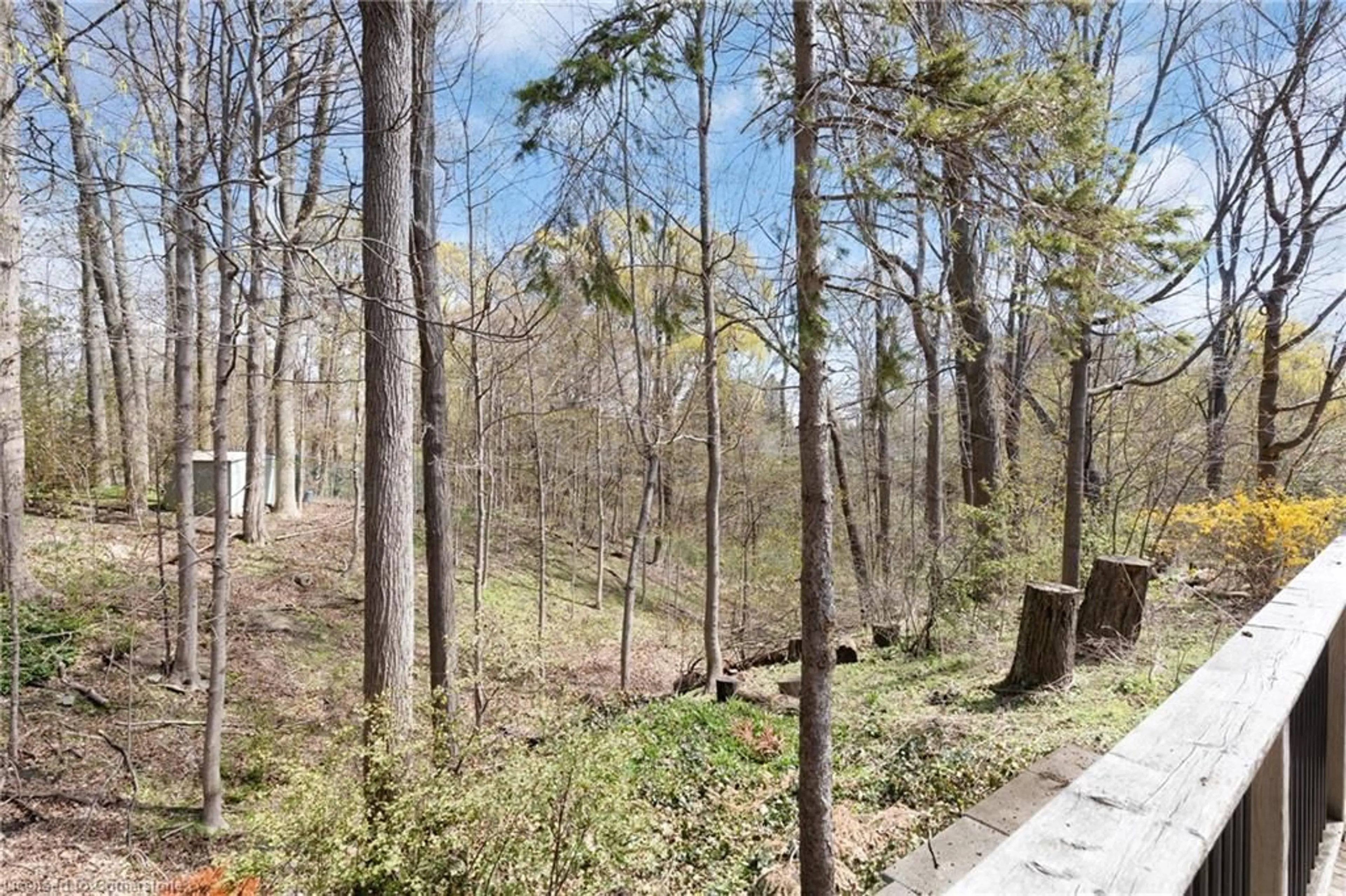 A pic from outside/outdoor area/front of a property/back of a property/a pic from drone, forest/trees view for 54 Richardson Dr #6, Port Dover Ontario N0A 1N4