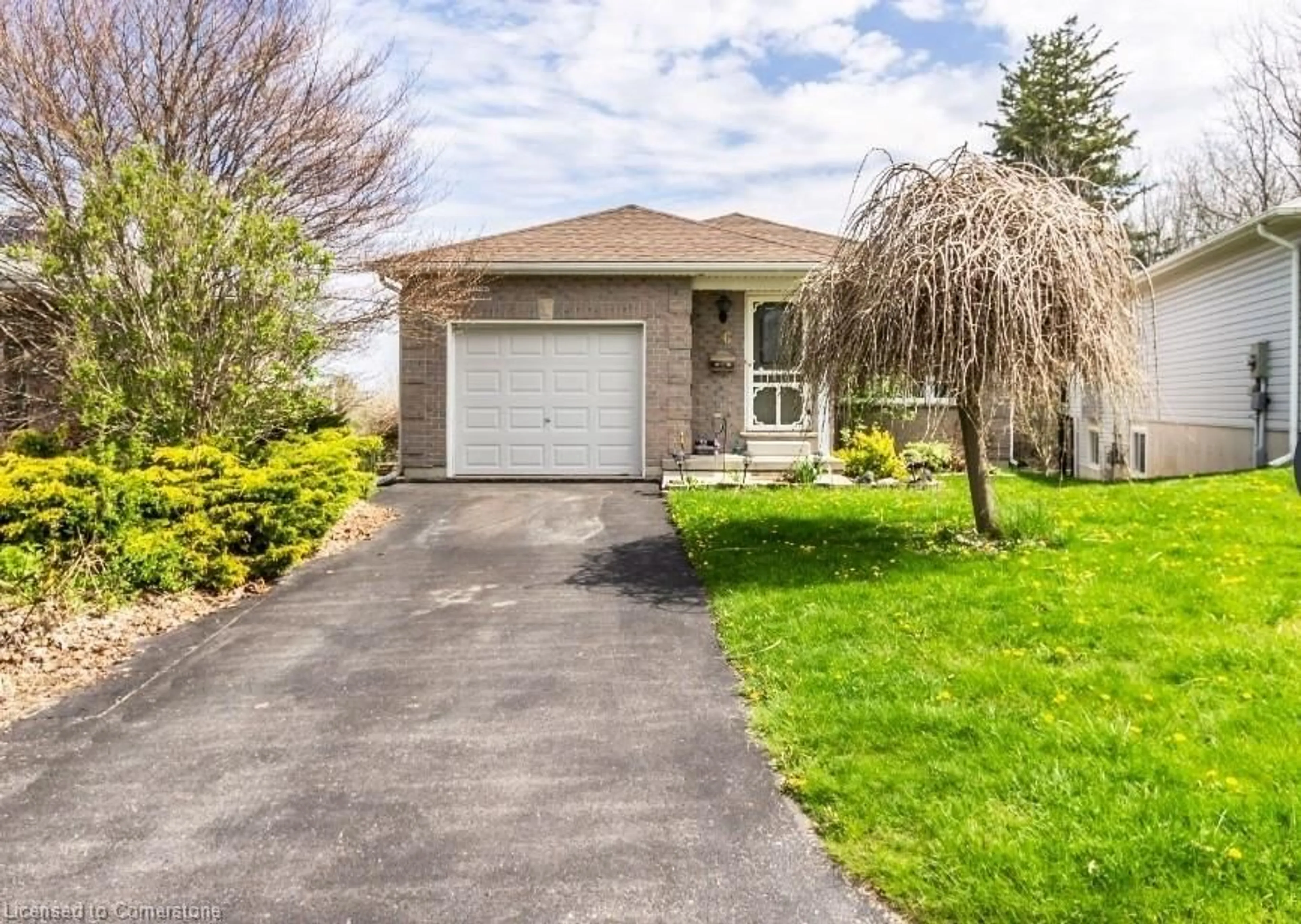 Unknown for 36 Rossiter Rd, Ingersoll Ontario N5C 4E1